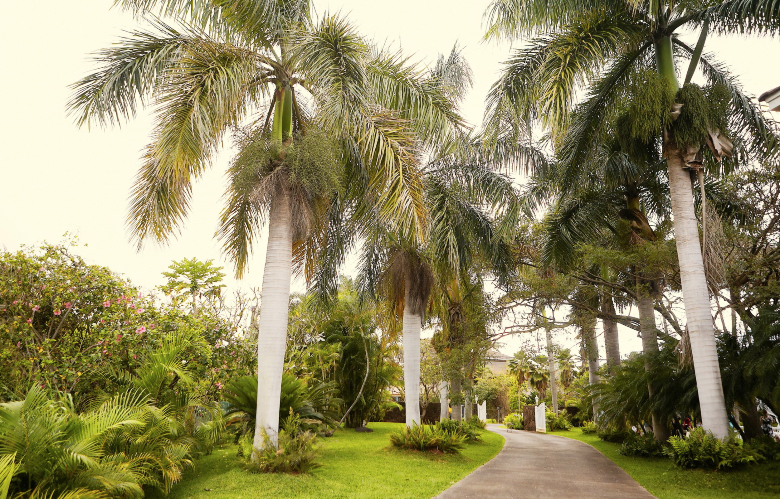 Screen Shot 2016-03-01 at 11.22.35 AM.png