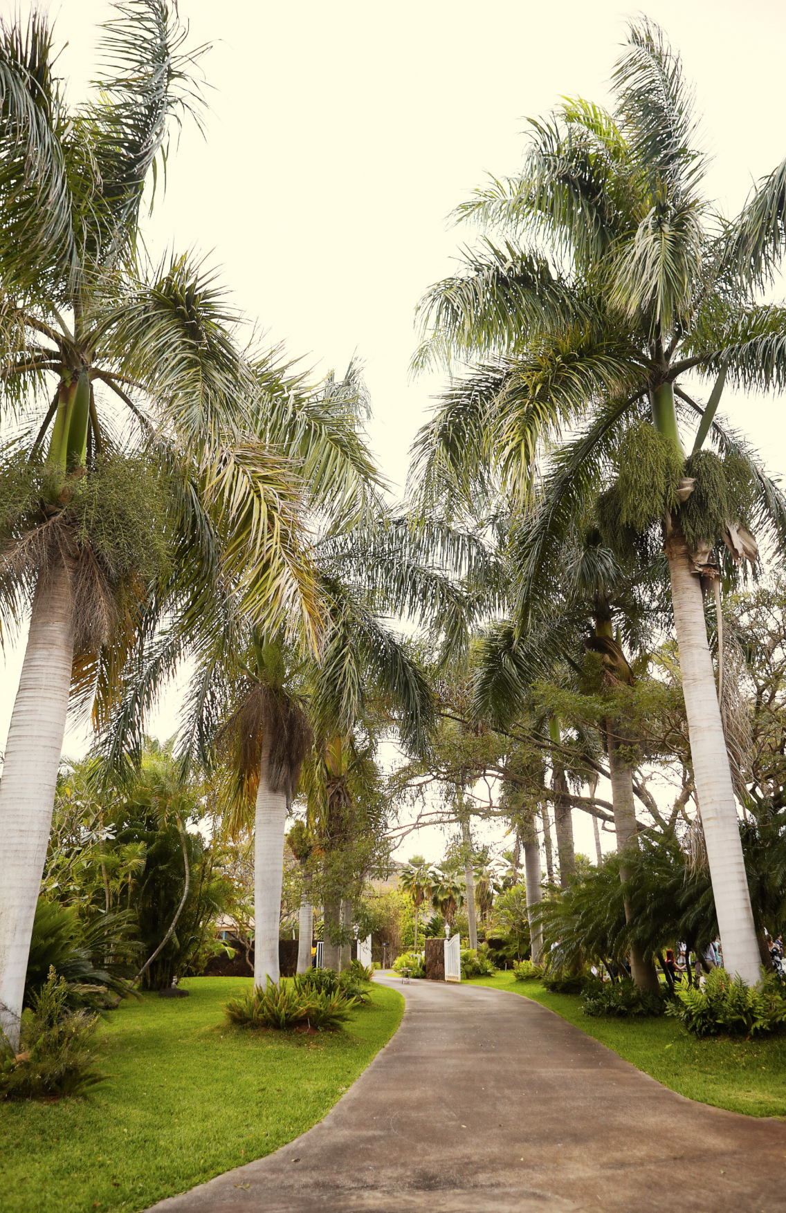 Screen Shot 2016-03-01 at 11.22.45 AM.png