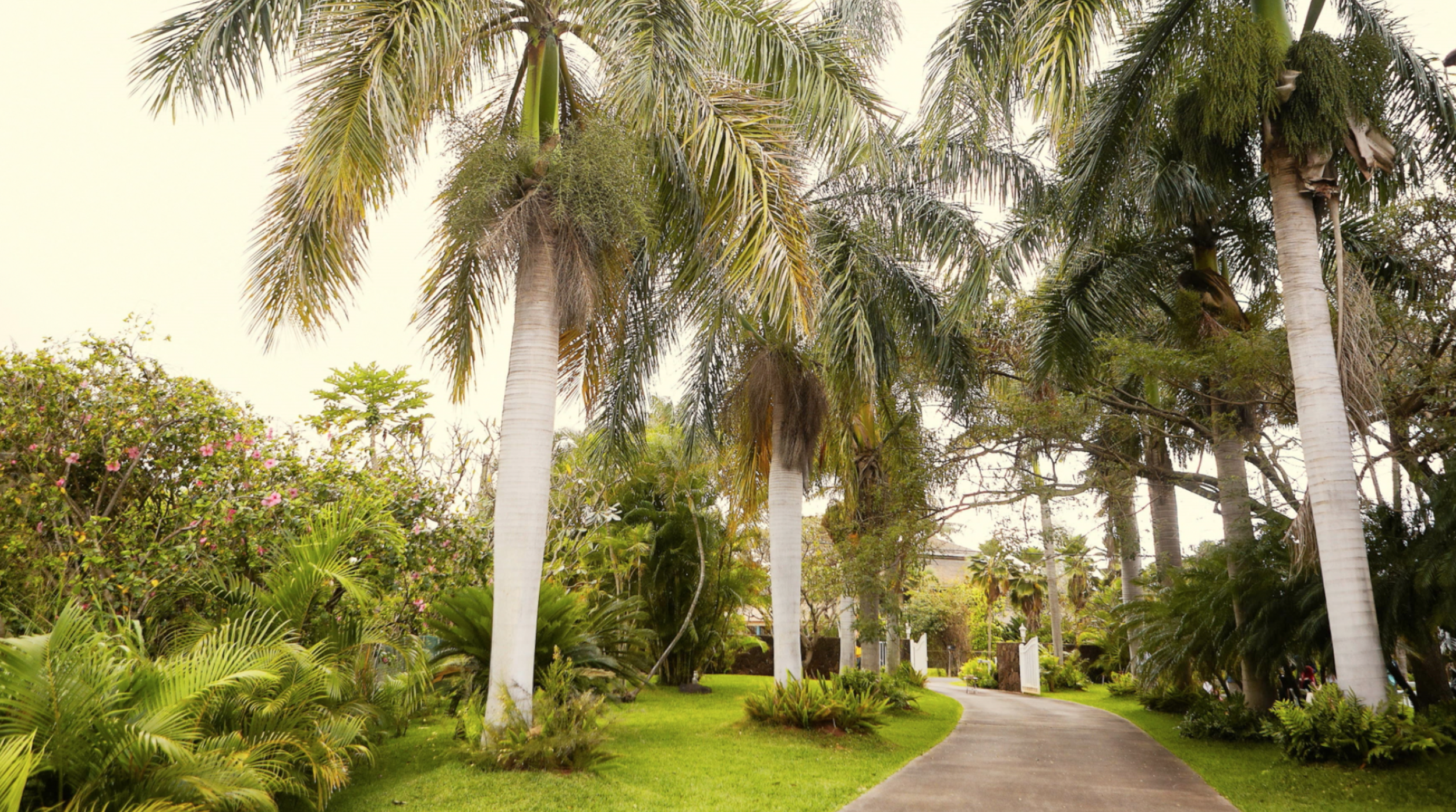 Screen Shot 2016-03-01 at 11.24.33 AM.png