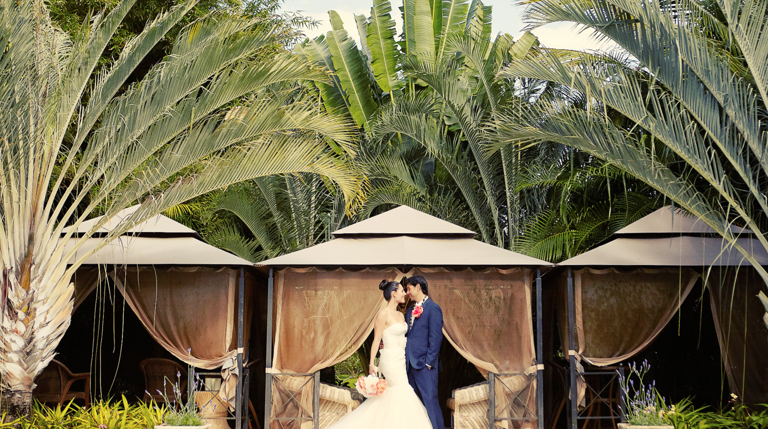 Screen Shot 2016-03-01 at 11.27.18 AM.png