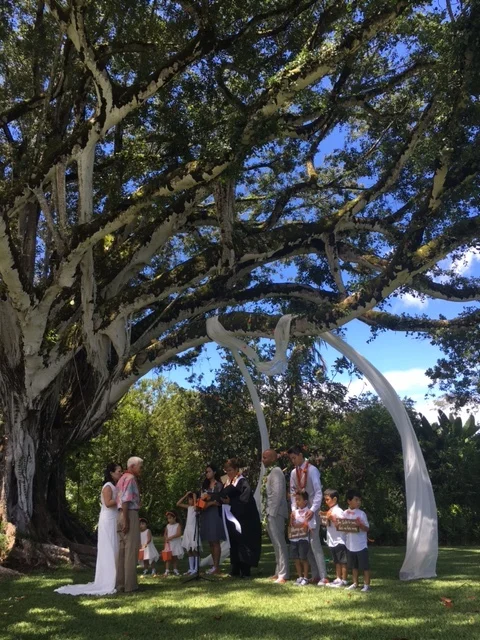 4-oahu-estate-wedding.JPG