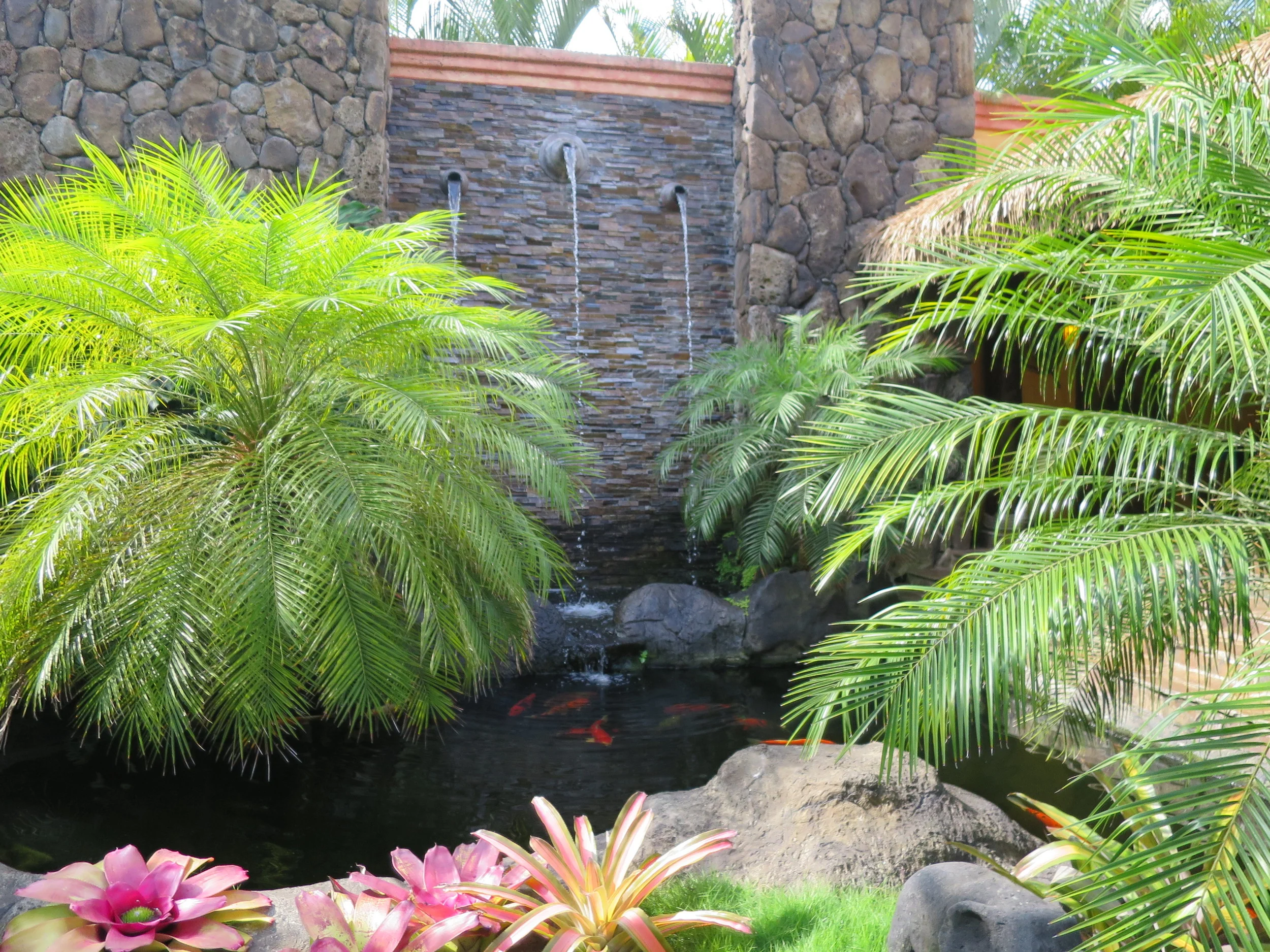 koi-pond