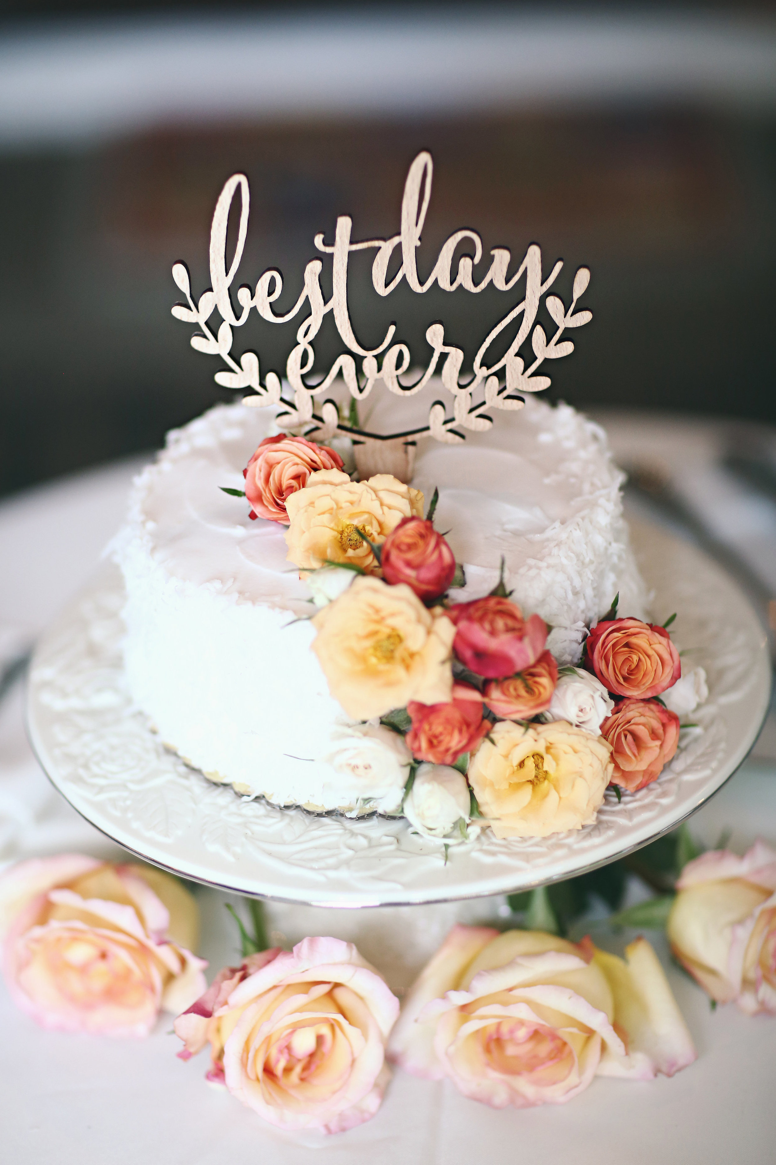 Photo by Frank Amodo Photography