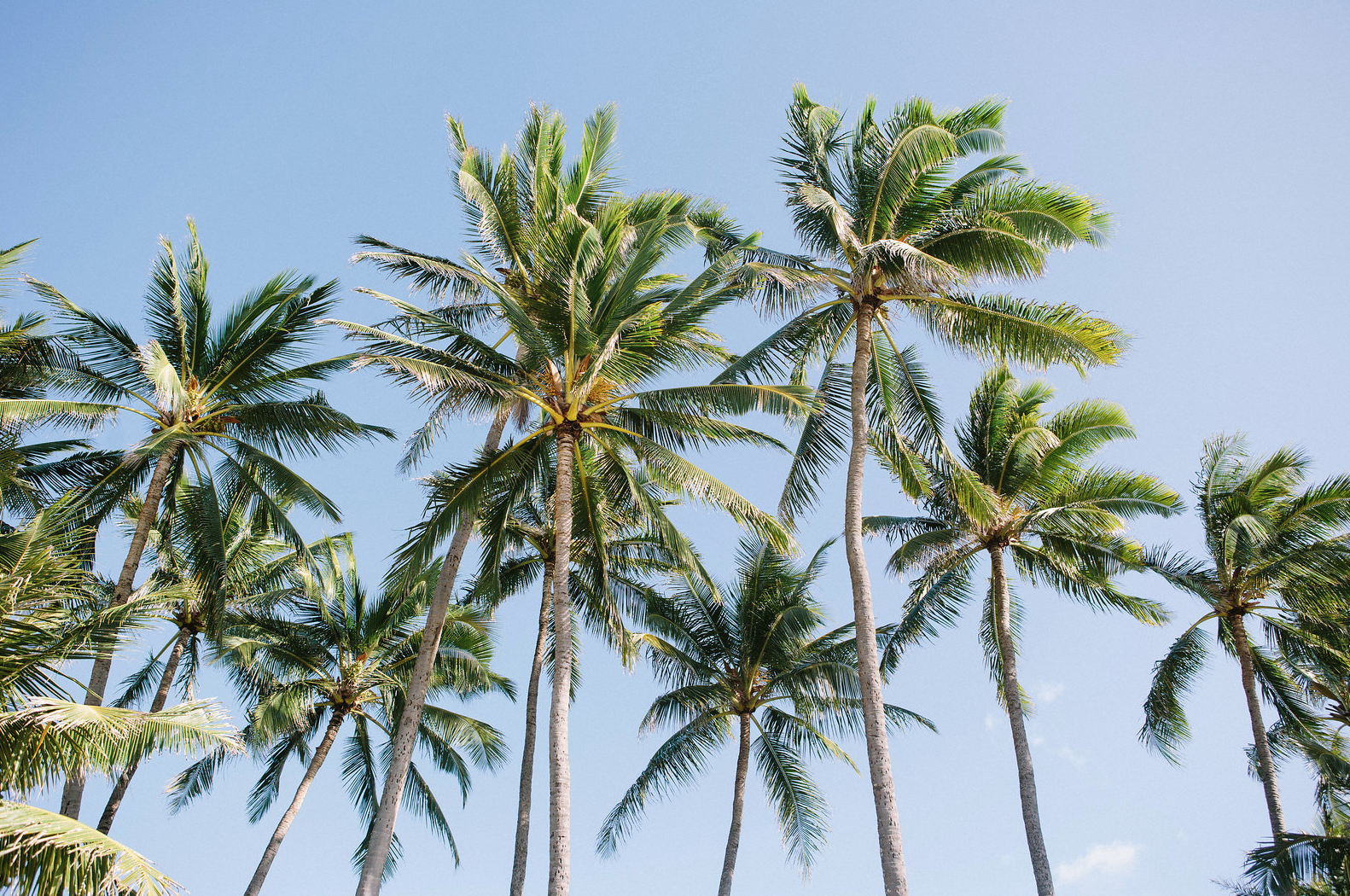 Screen Shot 2019-09-20 at 1.59.02 PM.png