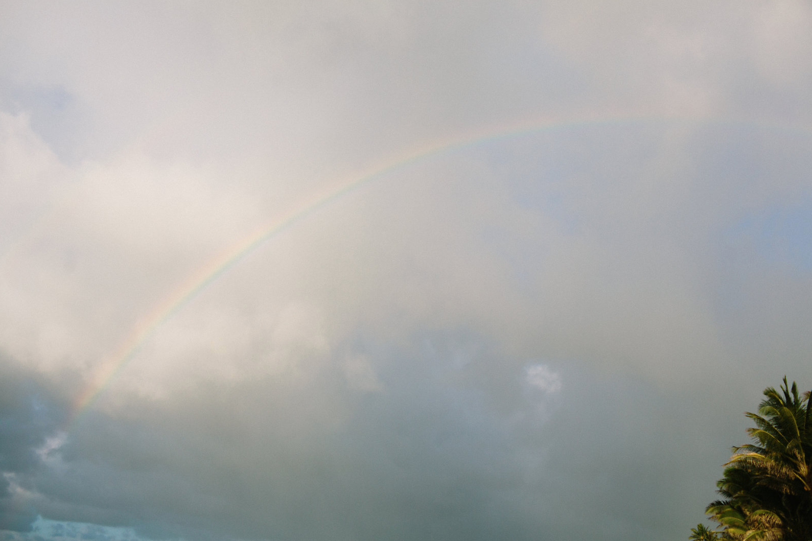 Screen Shot 2019-09-20 at 1.59.32 PM.png