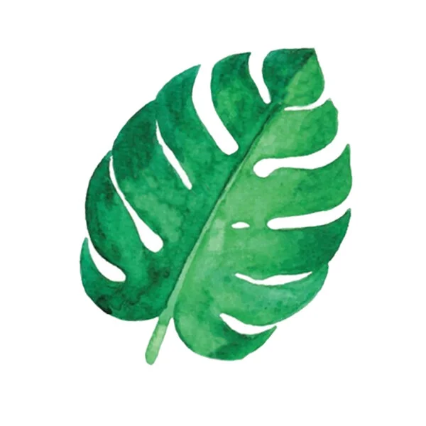 HO'OMALUHIA BOTANICAL GARDEN (Copy)