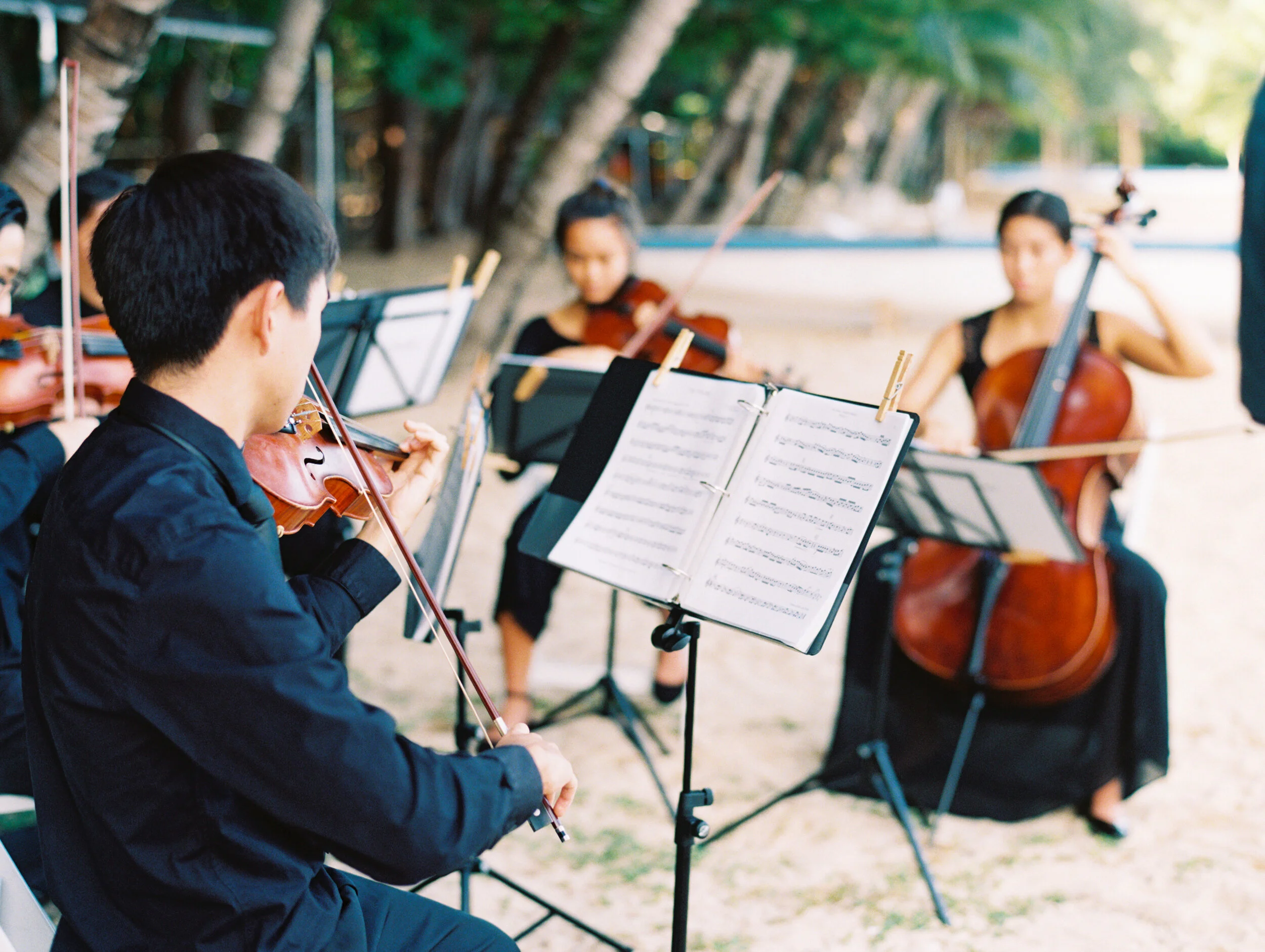 string-quartet-hawaii