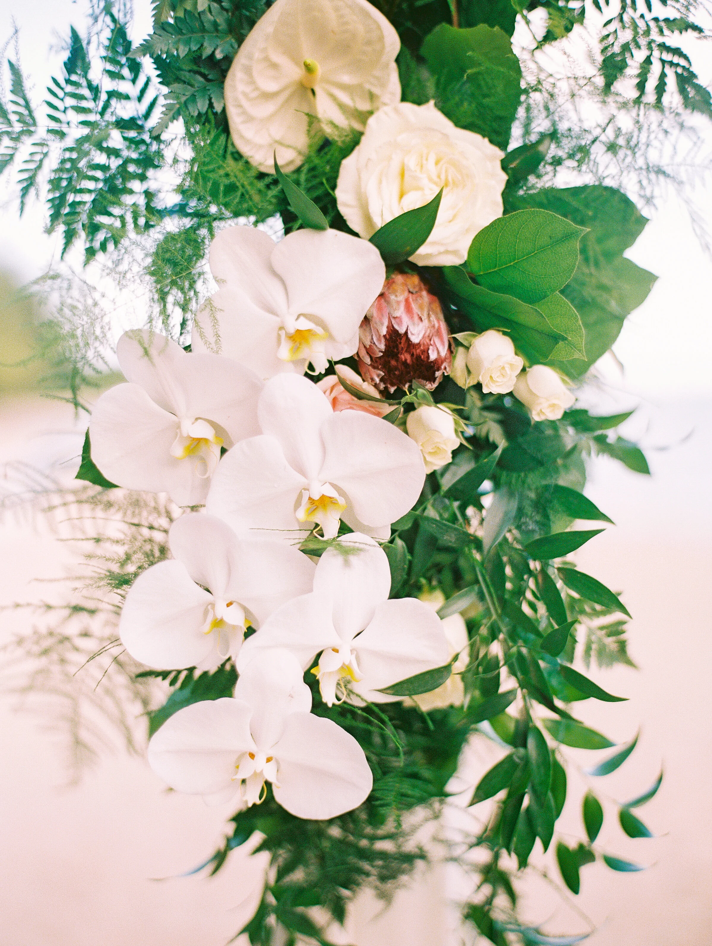 hawaii-floral-arch