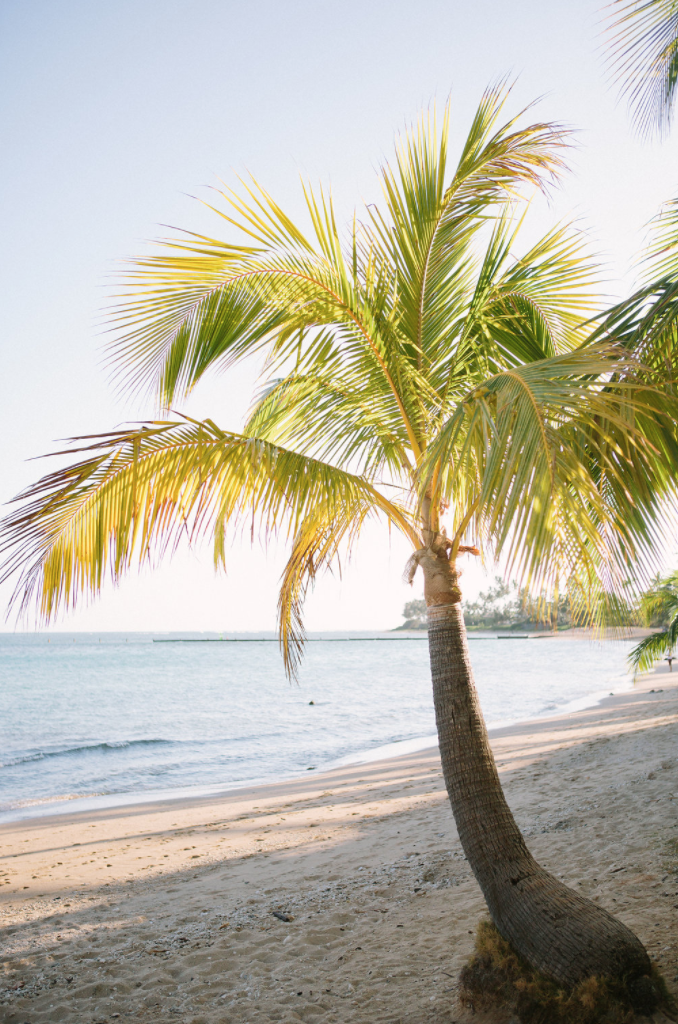 Screen Shot 2020-04-29 at 10.26.21 AM.png