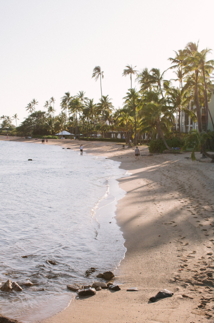 Screen Shot 2020-04-29 at 10.26.57 AM.png