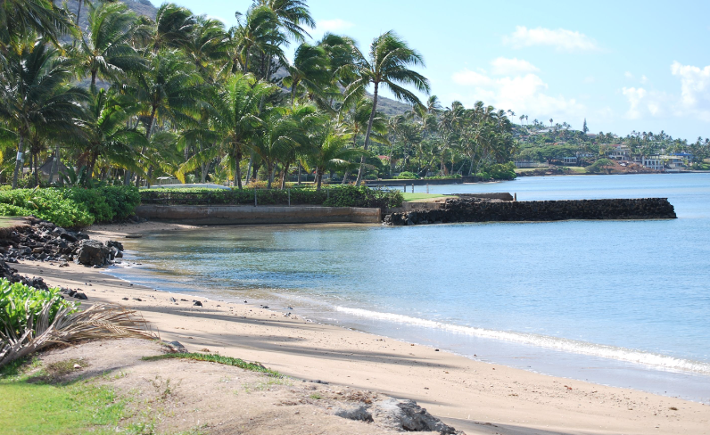 Screen Shot 2022-09-16 at 10.37.51 AM.png