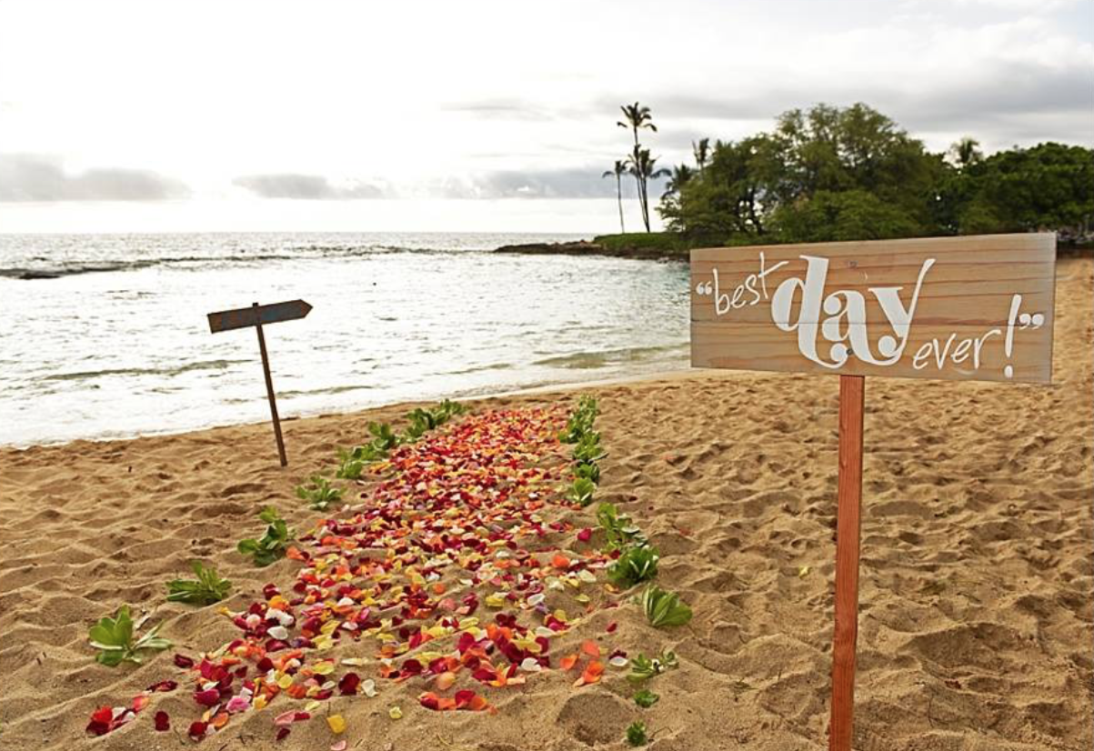 Screen Shot 2022-09-16 at 3.24.45 PM.png