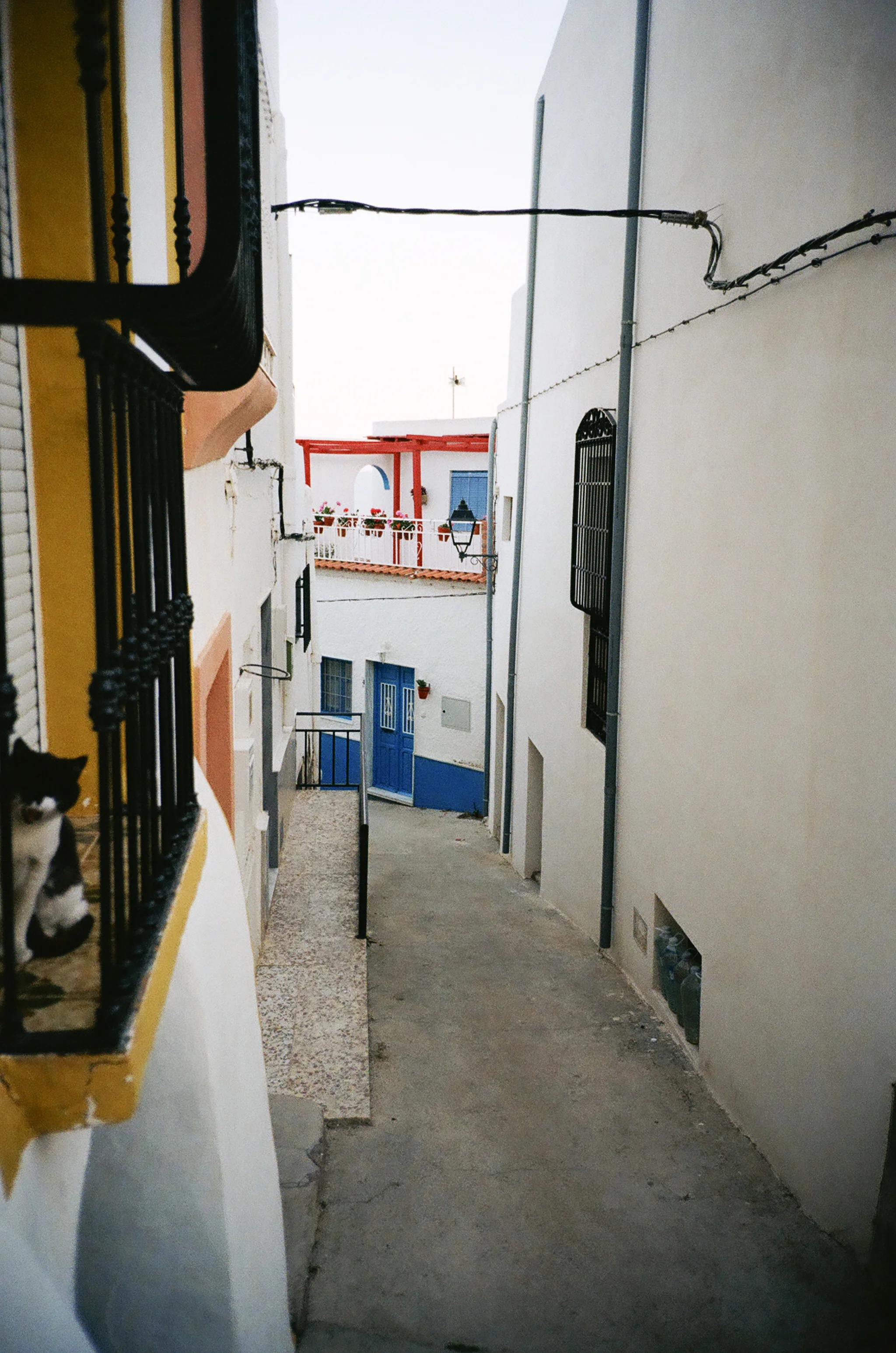 72860017.jpg