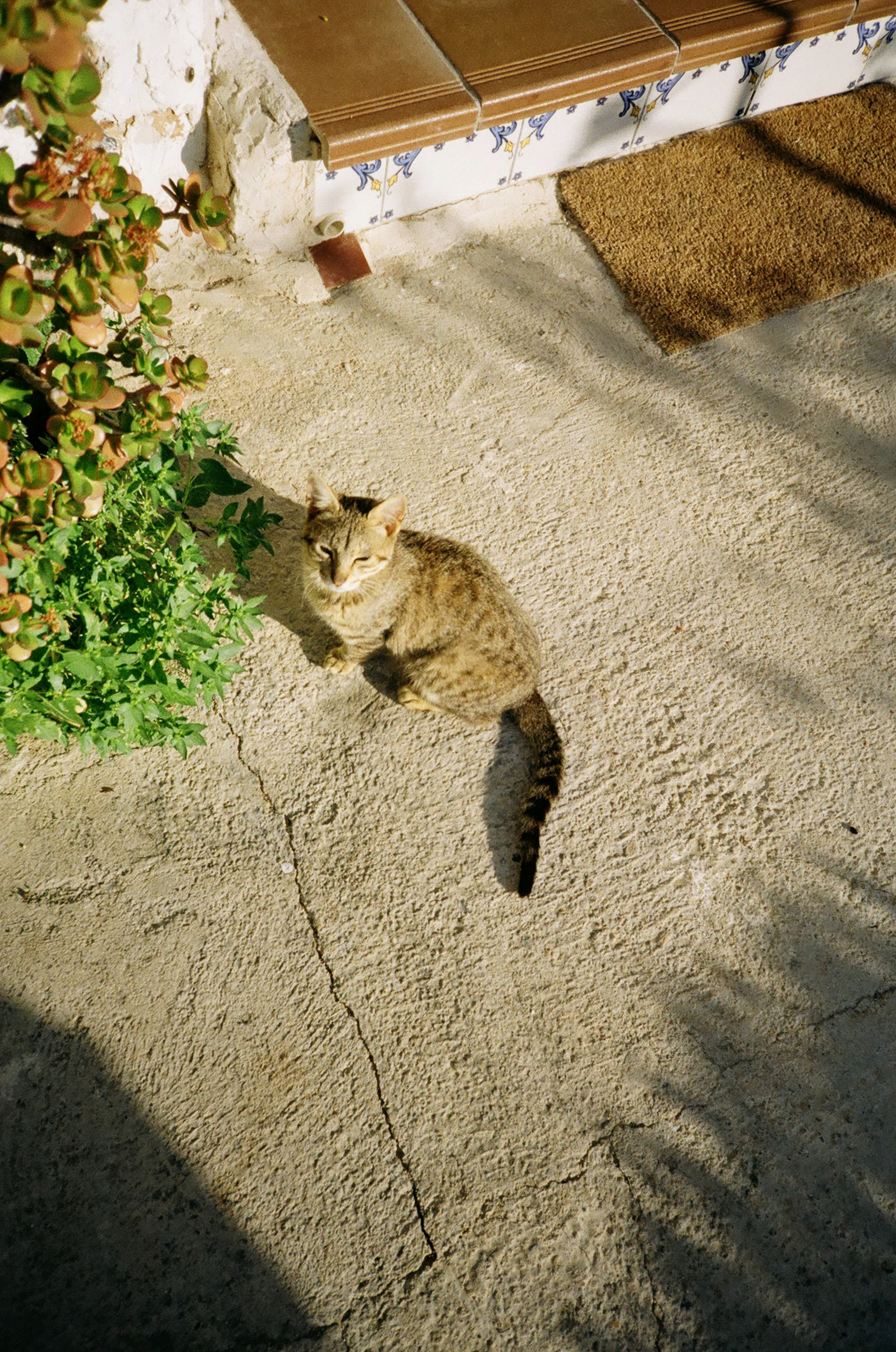 72860019.jpg