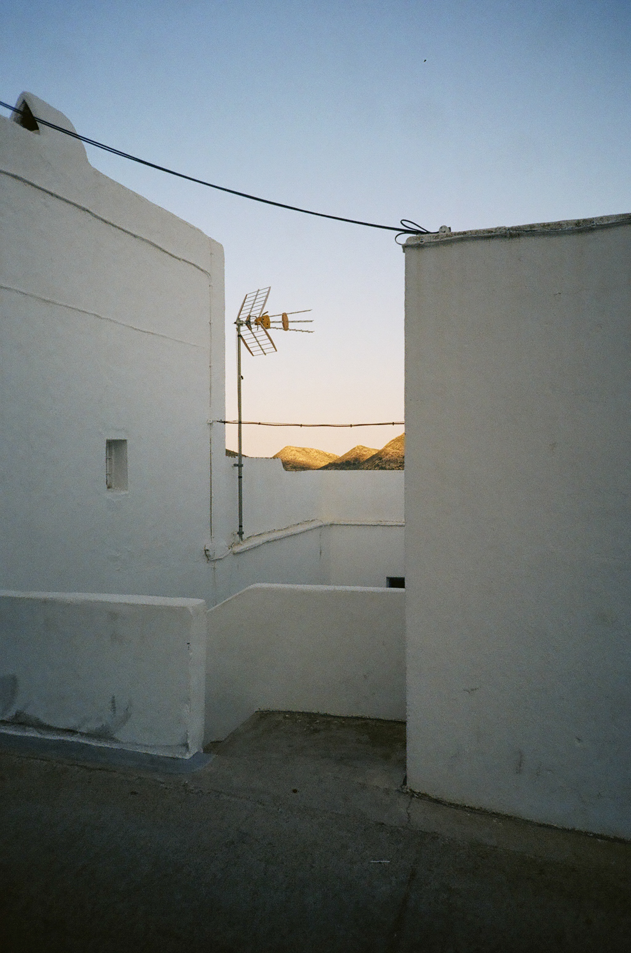 72860035.jpg
