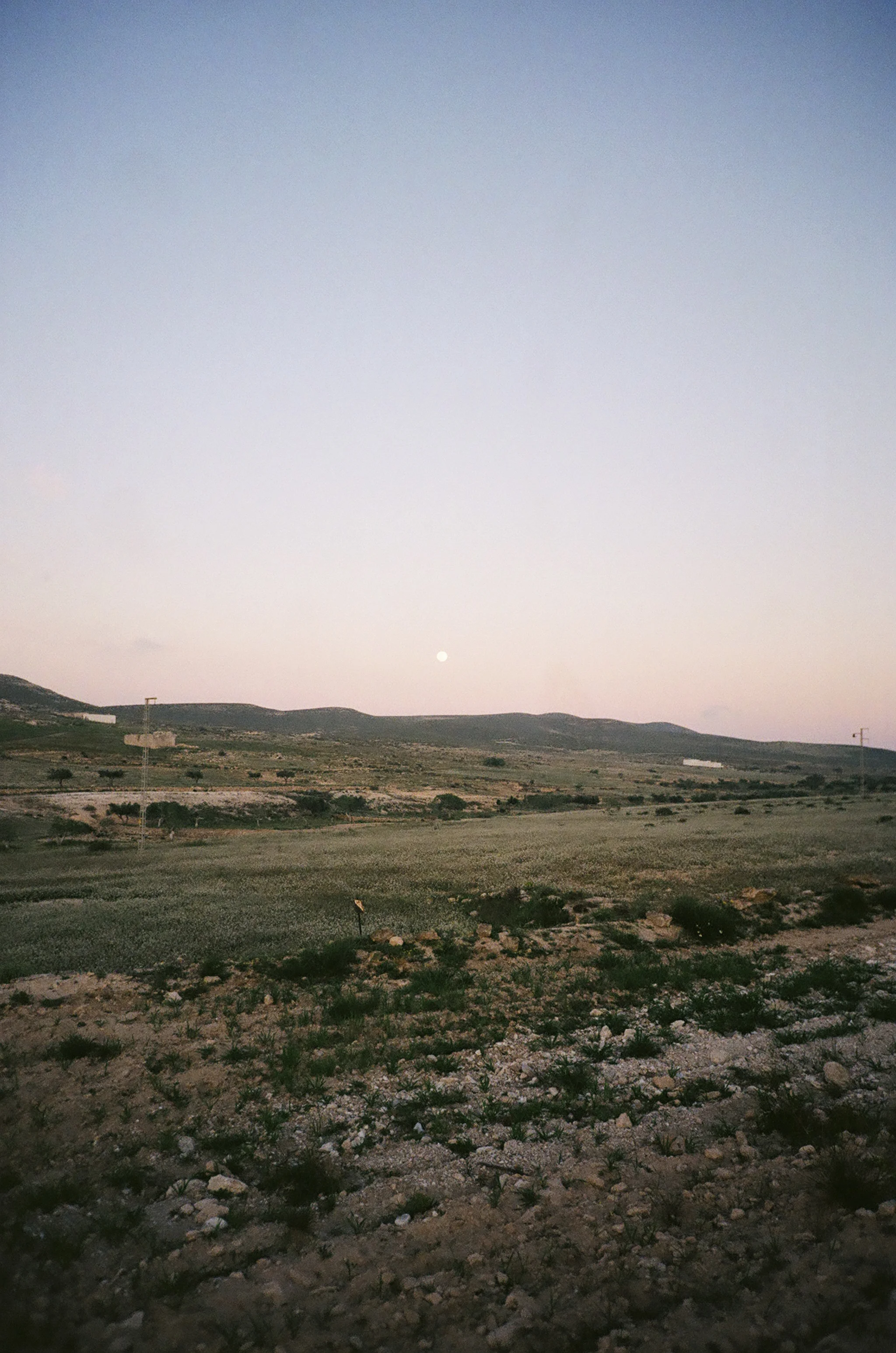 72860012.jpg