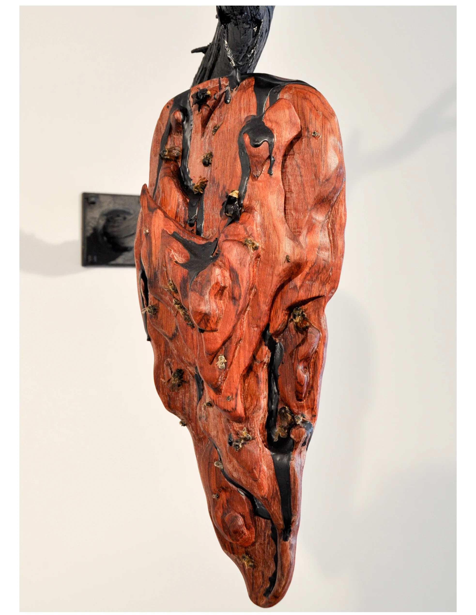 Twenty-nine Bees & Two Boys 2014