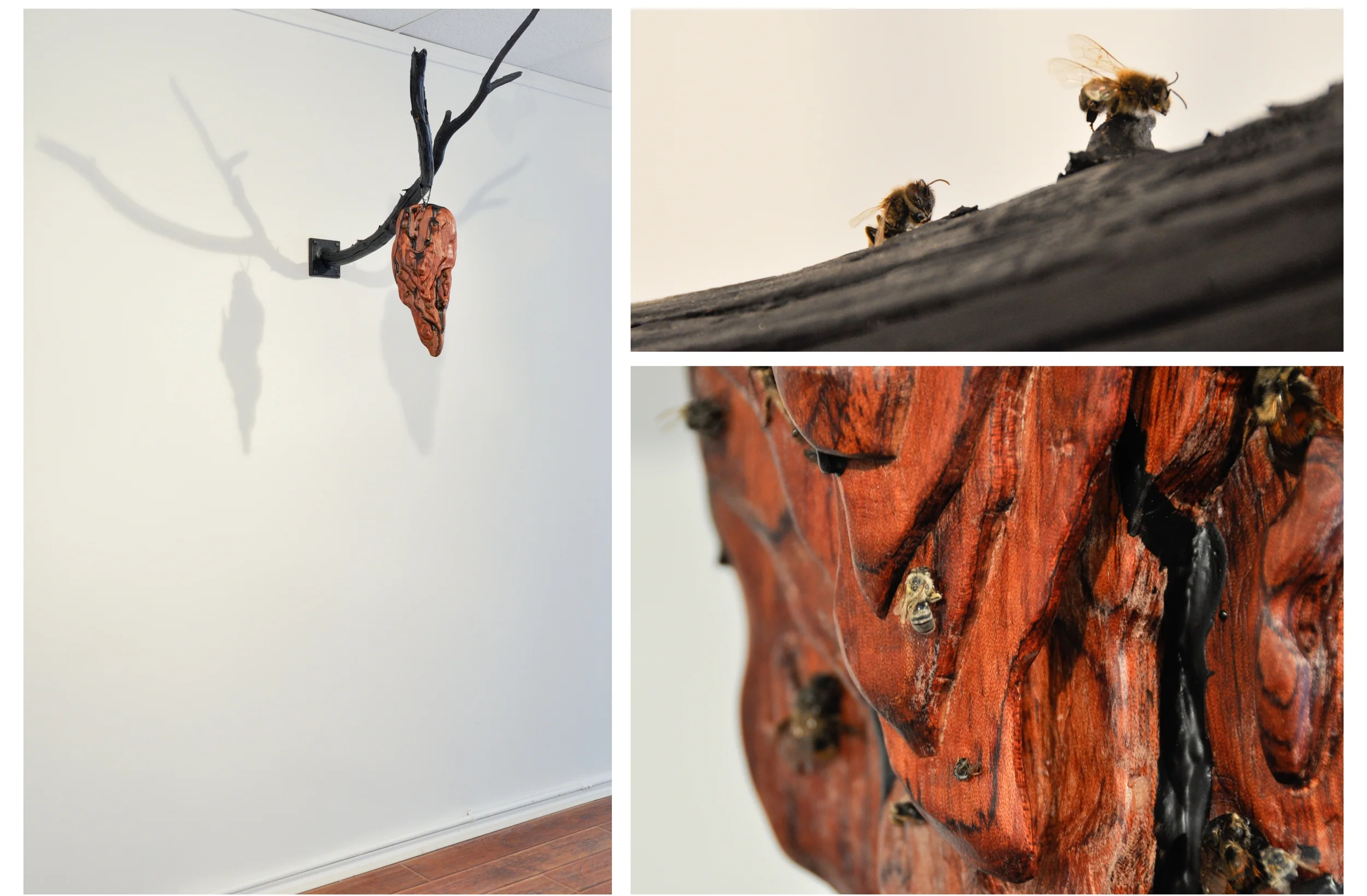 Twenty-nine Bees & Two Boys 2014