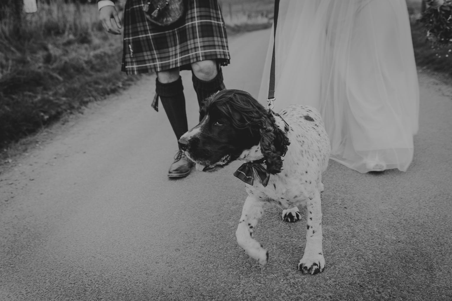 Glen Clova Scotland Wedding-409.jpg