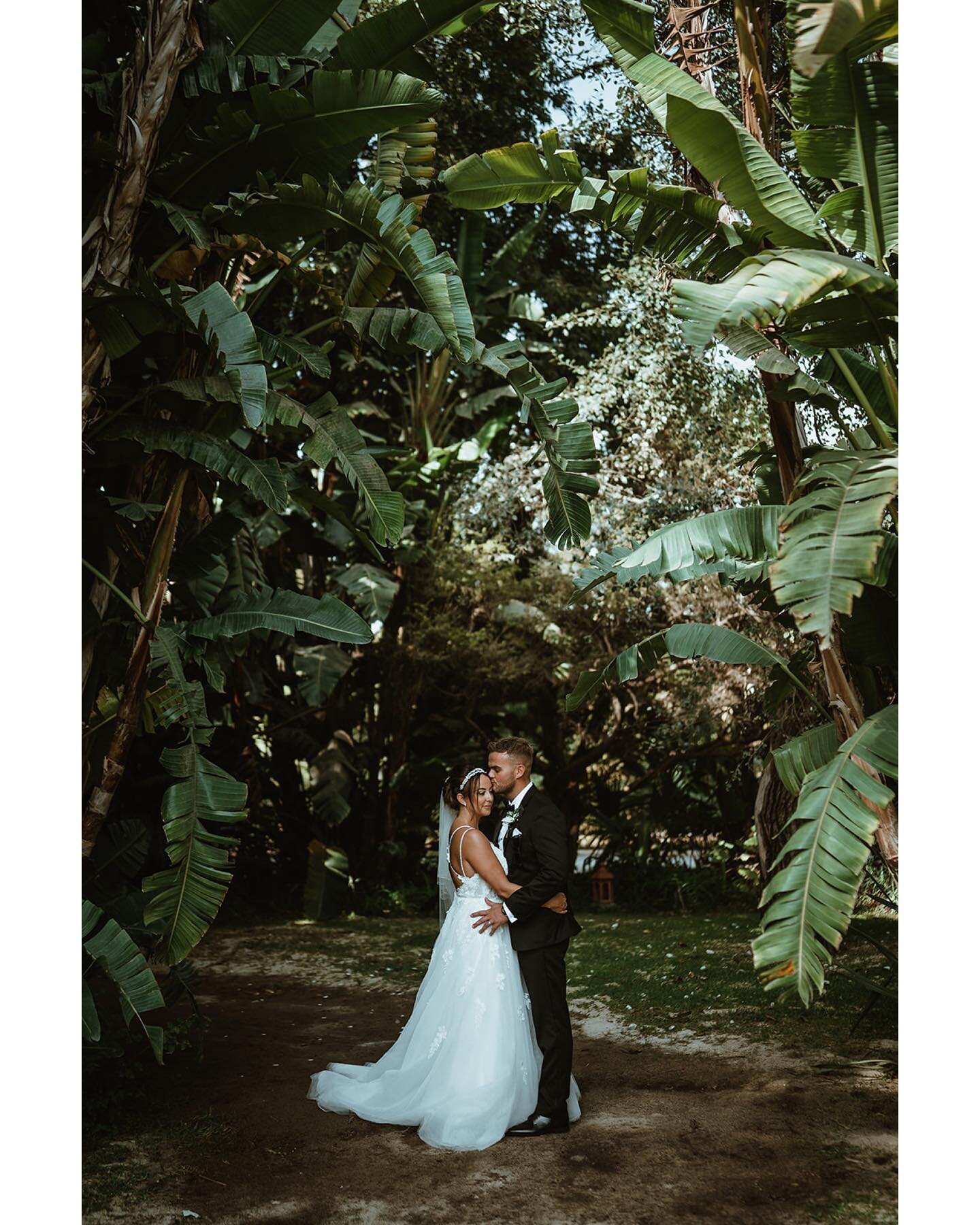 Absolutely buzzing to be heading back to Marbella next month! In honour of that, here&rsquo;s a few frames from Aimee &amp; Scott&rsquo;s unreal @fincalaconcepcion wedding! 🌴