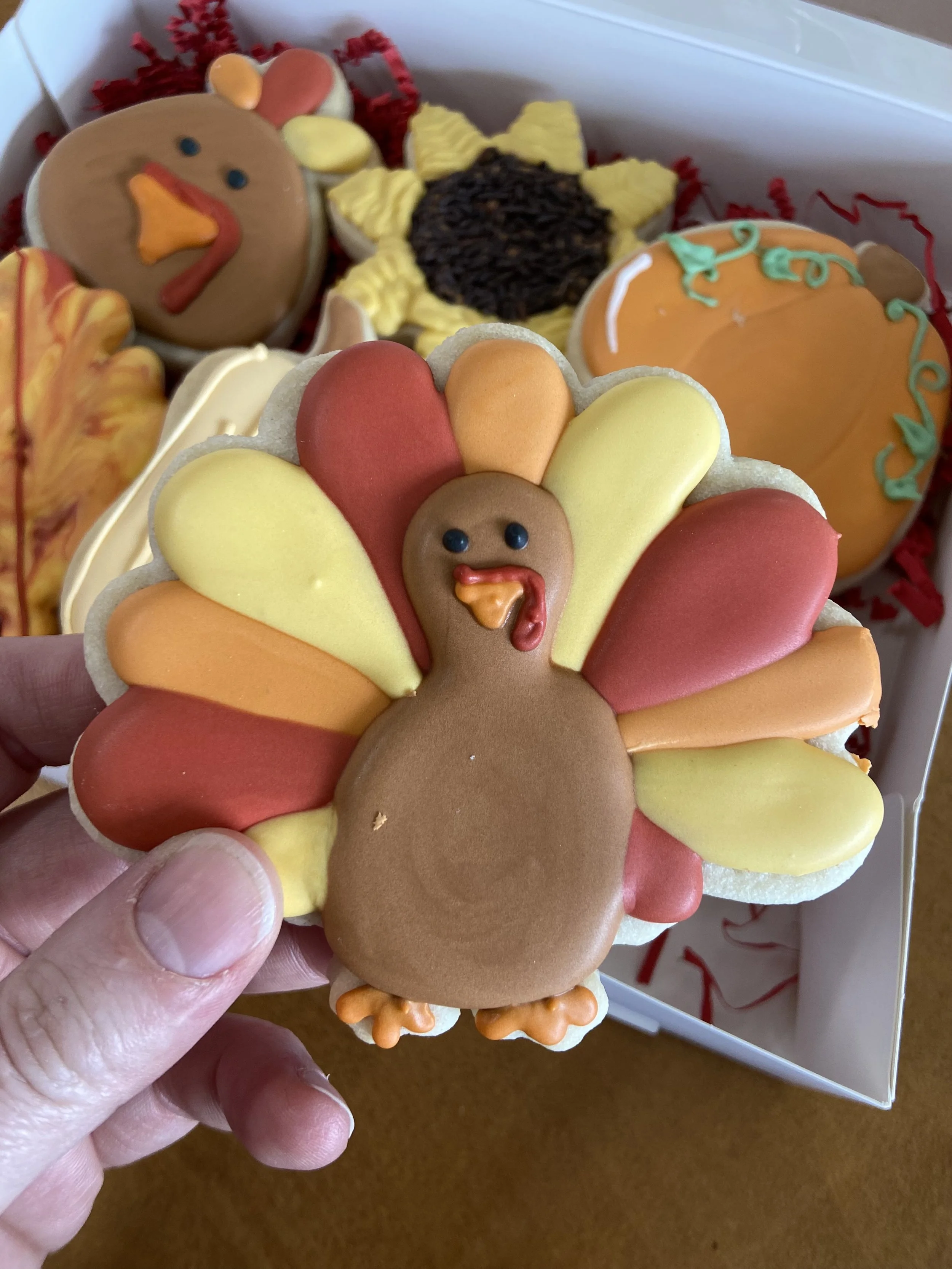 6 pack - Thanksgiving Sugar Cookie Gift Box
