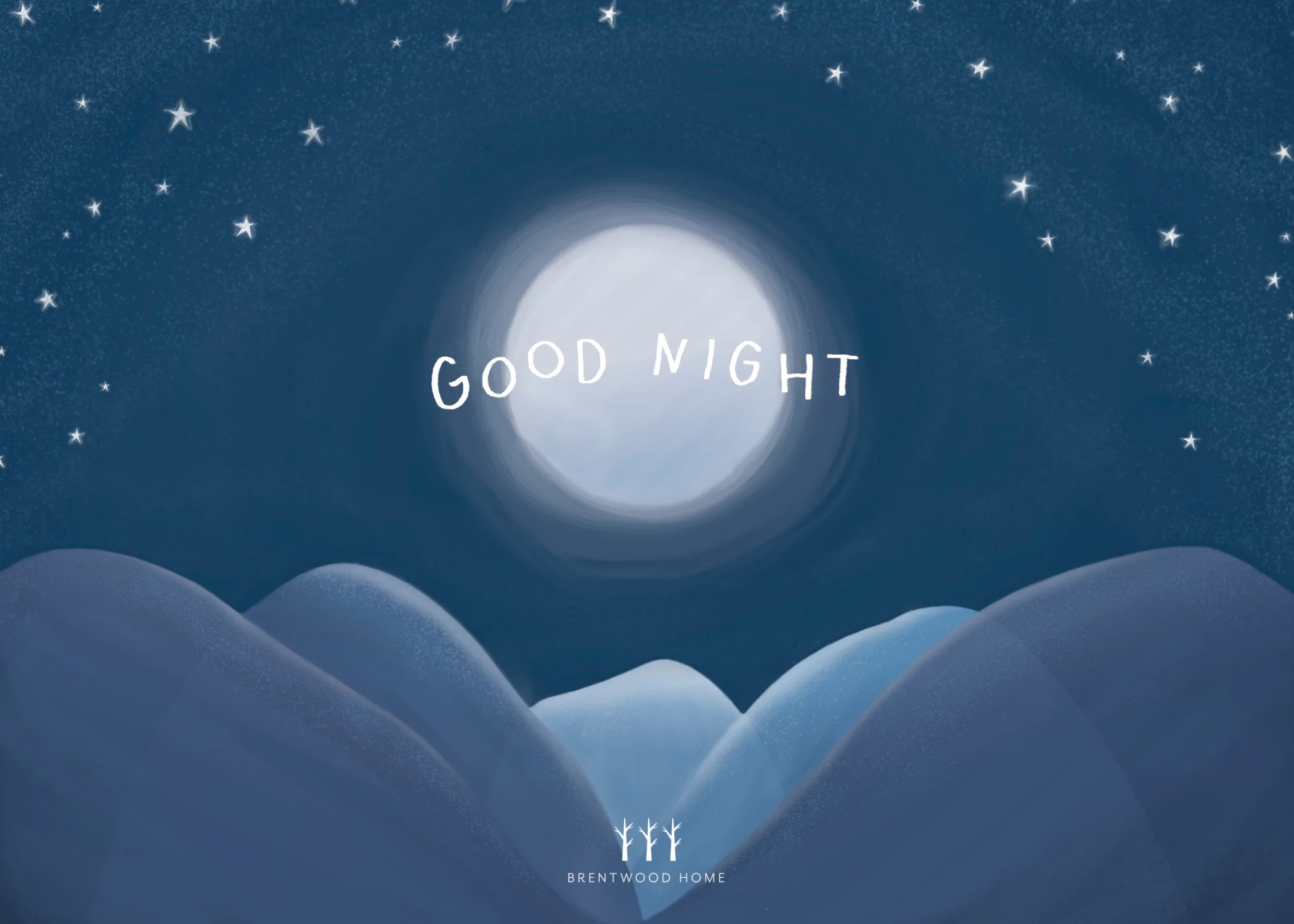 Night Owl & Early Bird.jpg