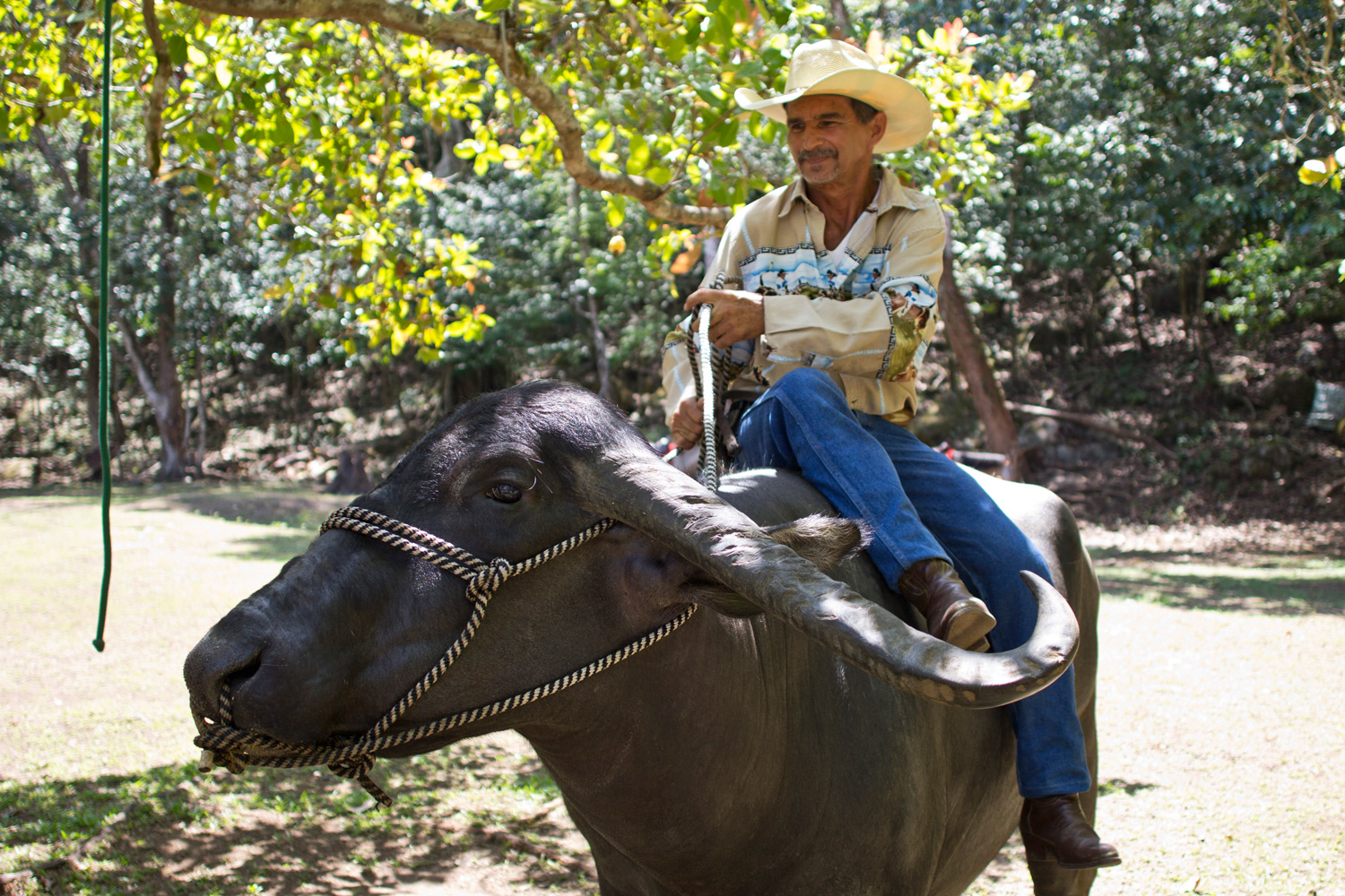 Didimo, a former rodeo star, has over 50 animals that he either rescues when they are harmed in the wild, or domesticates. on his farm near Caldera, Panama. 
