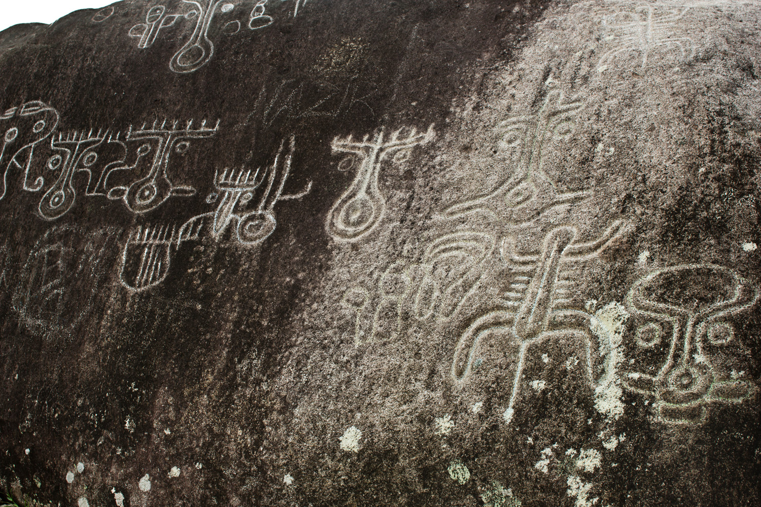 One of many ancient petroglyphs in Chiriqui, Panama. The sites are mostly unmarked, unprotected and unstudied -- the Ngäbe keep many of the locations a secret to protect them.