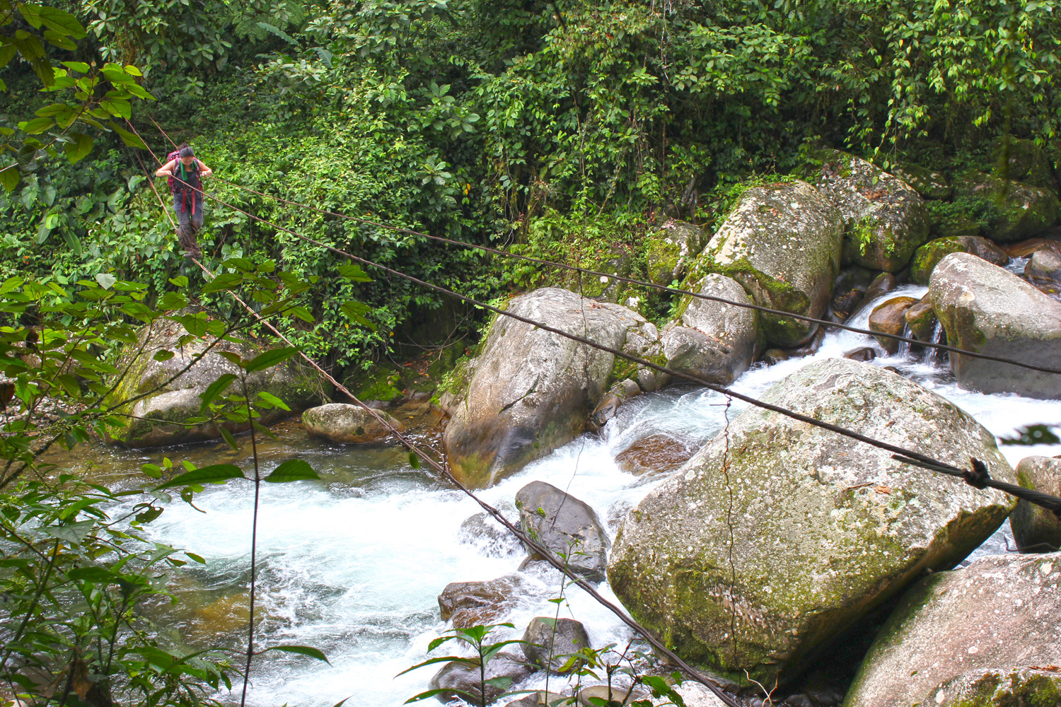 During rainy seasons, Rio Changuinola must be crossed on makeshift cables tied to trees. We crossed this river close to a dozen times, three of which required use of such a bridge. 