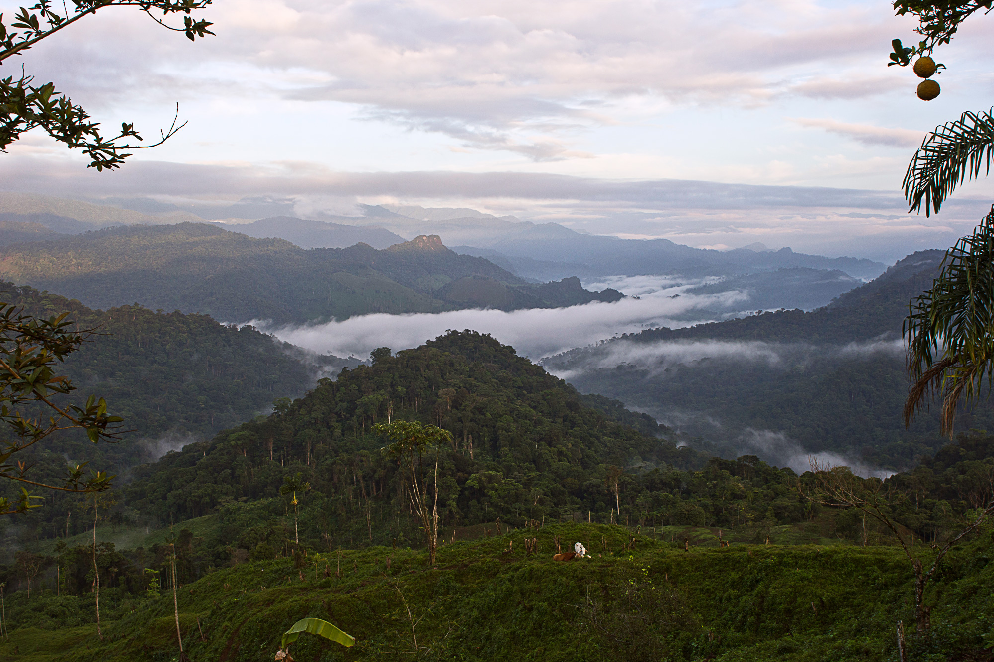 The view from a family home in Alto Romero, Panama. At least a 10 hour hike in either direction to a town with electricity, the people here say they want for nothing -- they have enough to eat and a large community of support. 