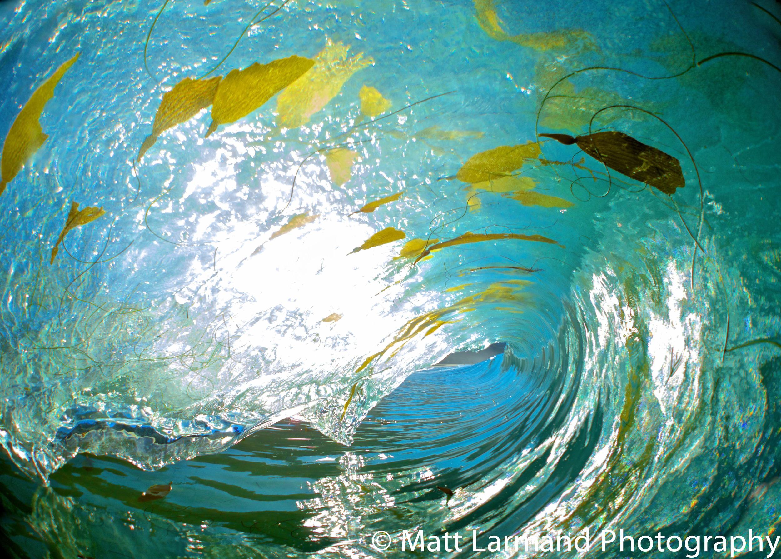 seaweed barrel