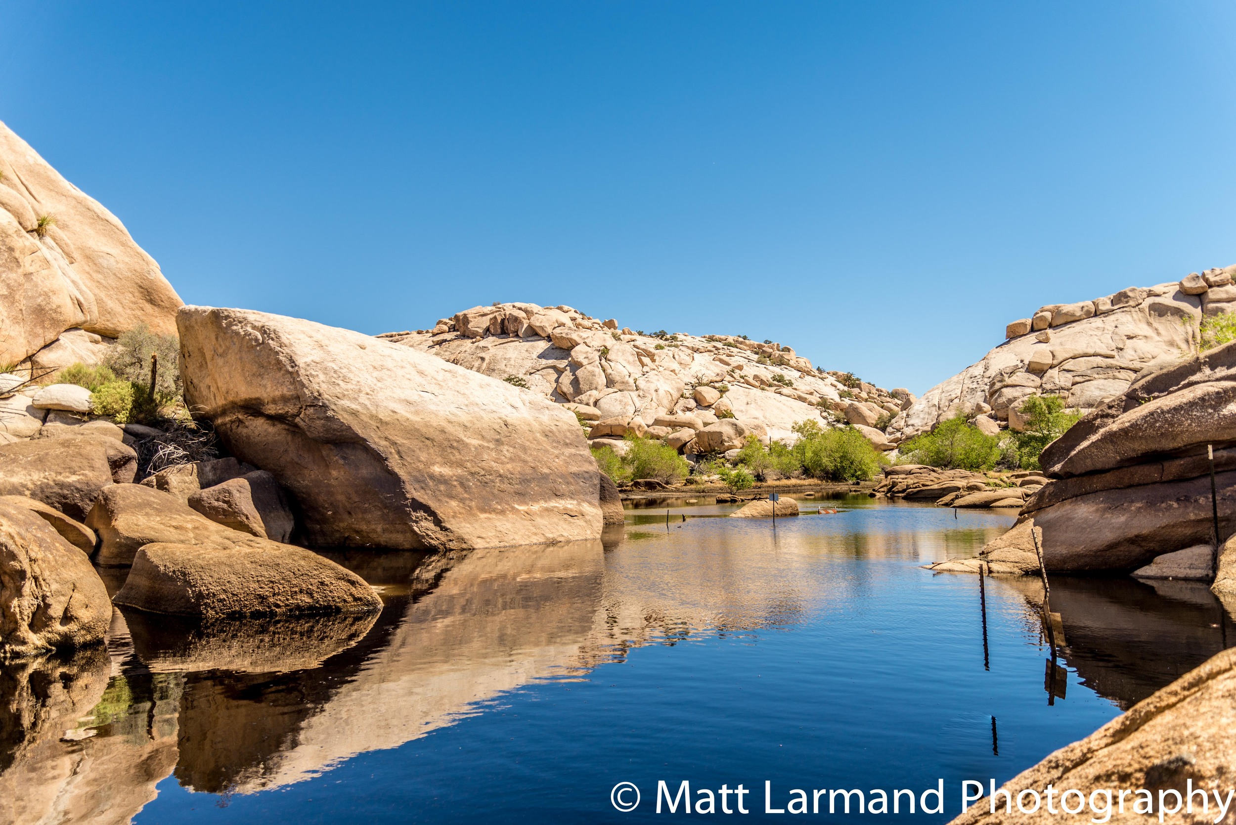 desert reflections
