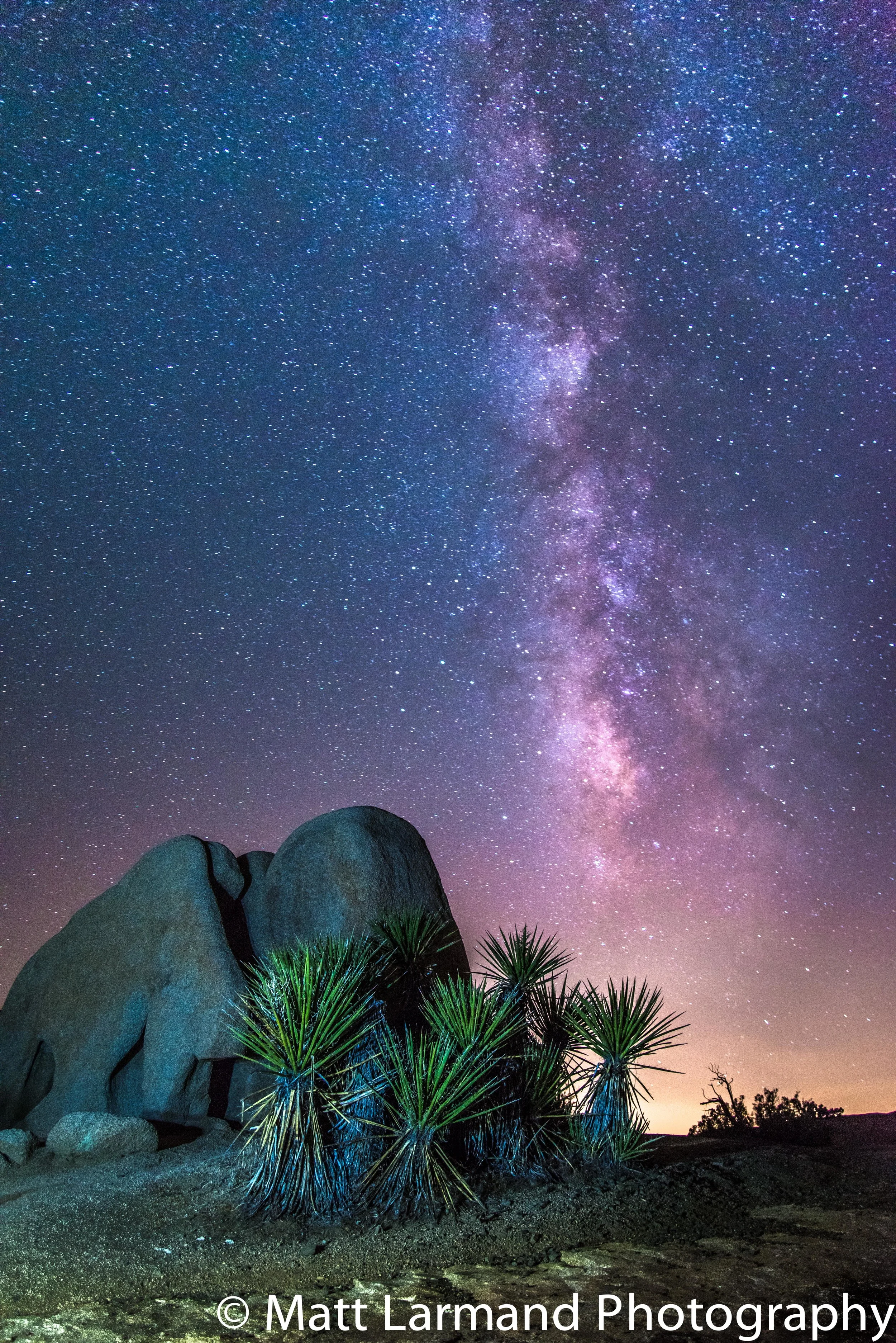 lost in the stars