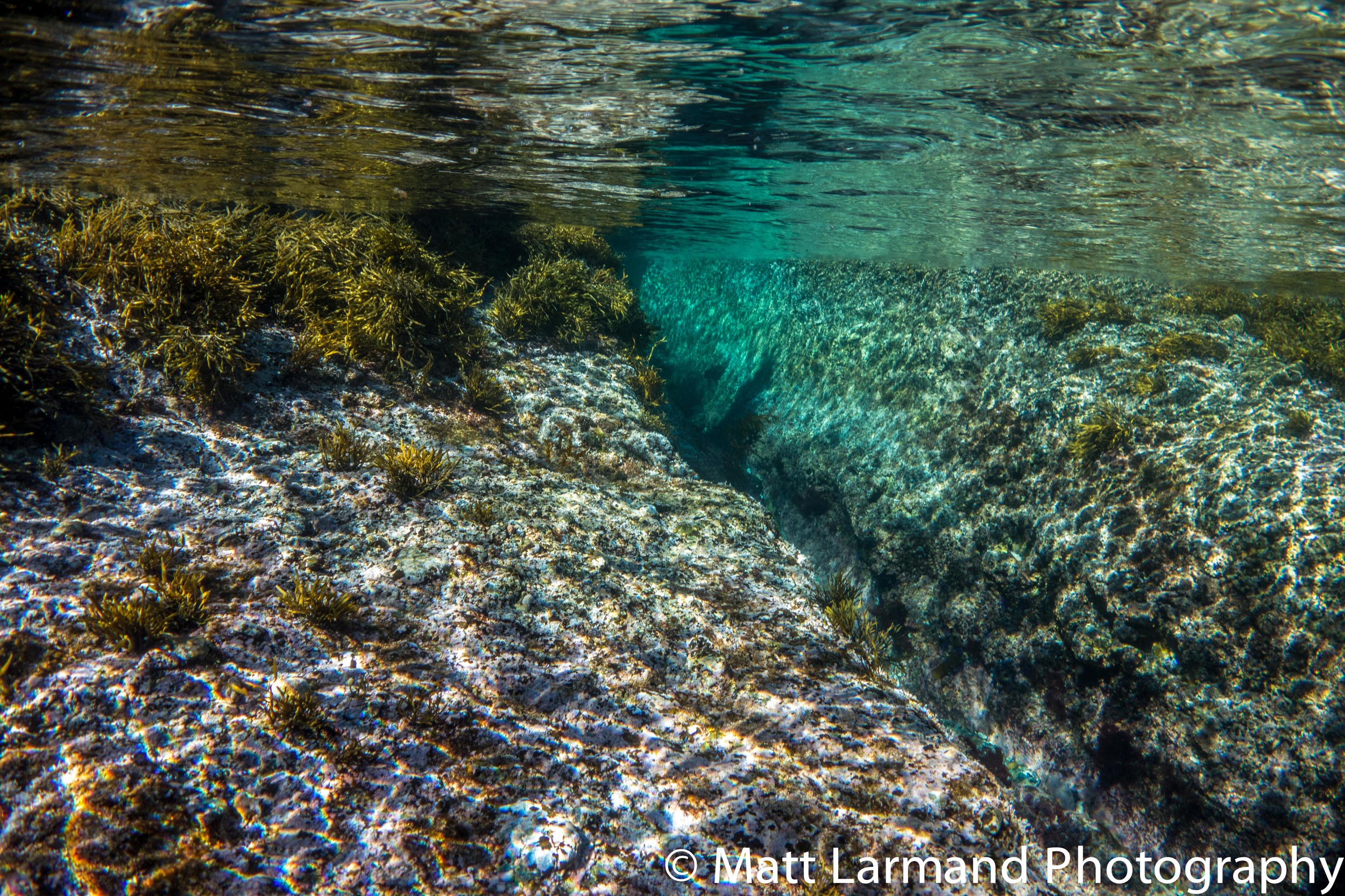 under the sea