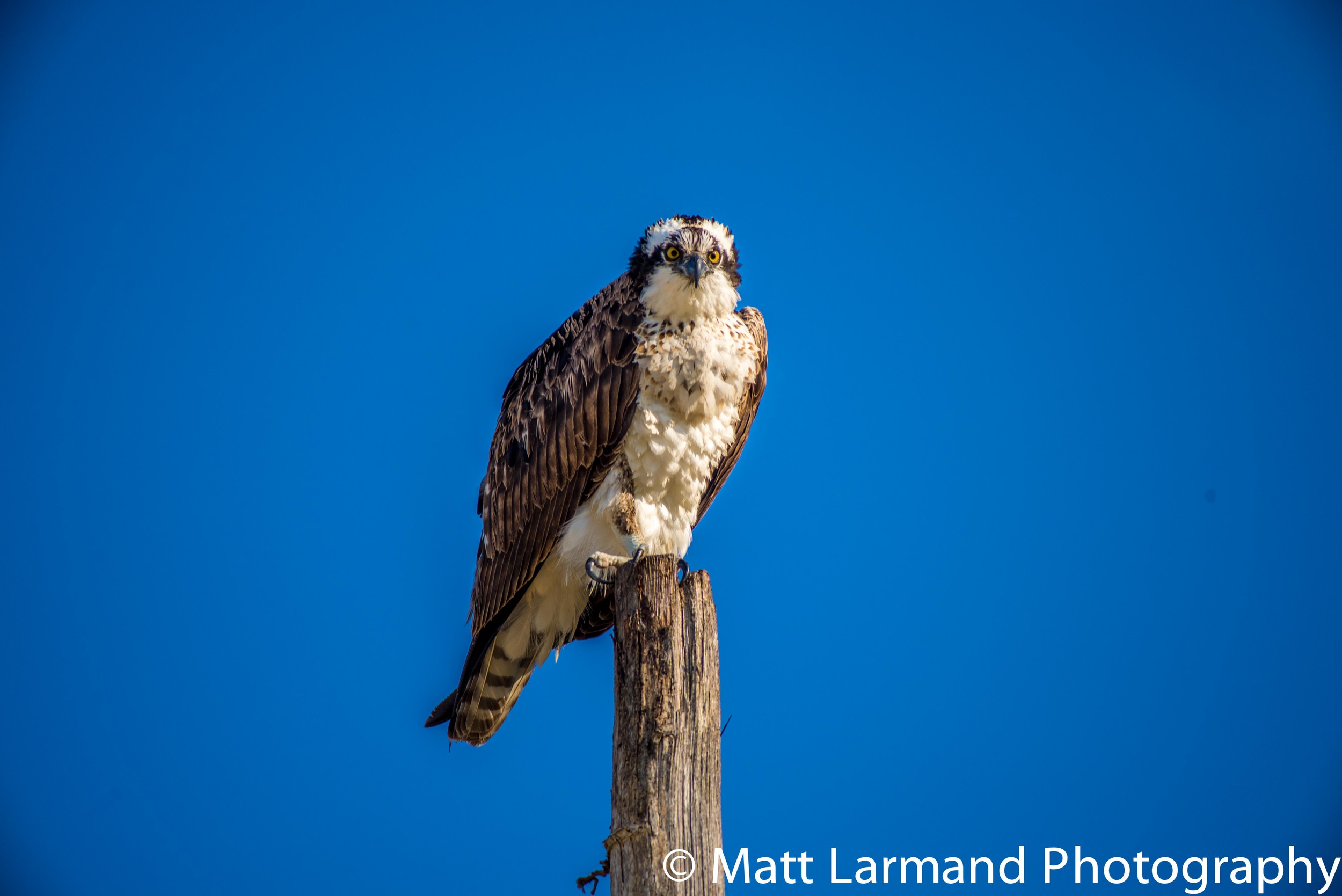 what are you looking at