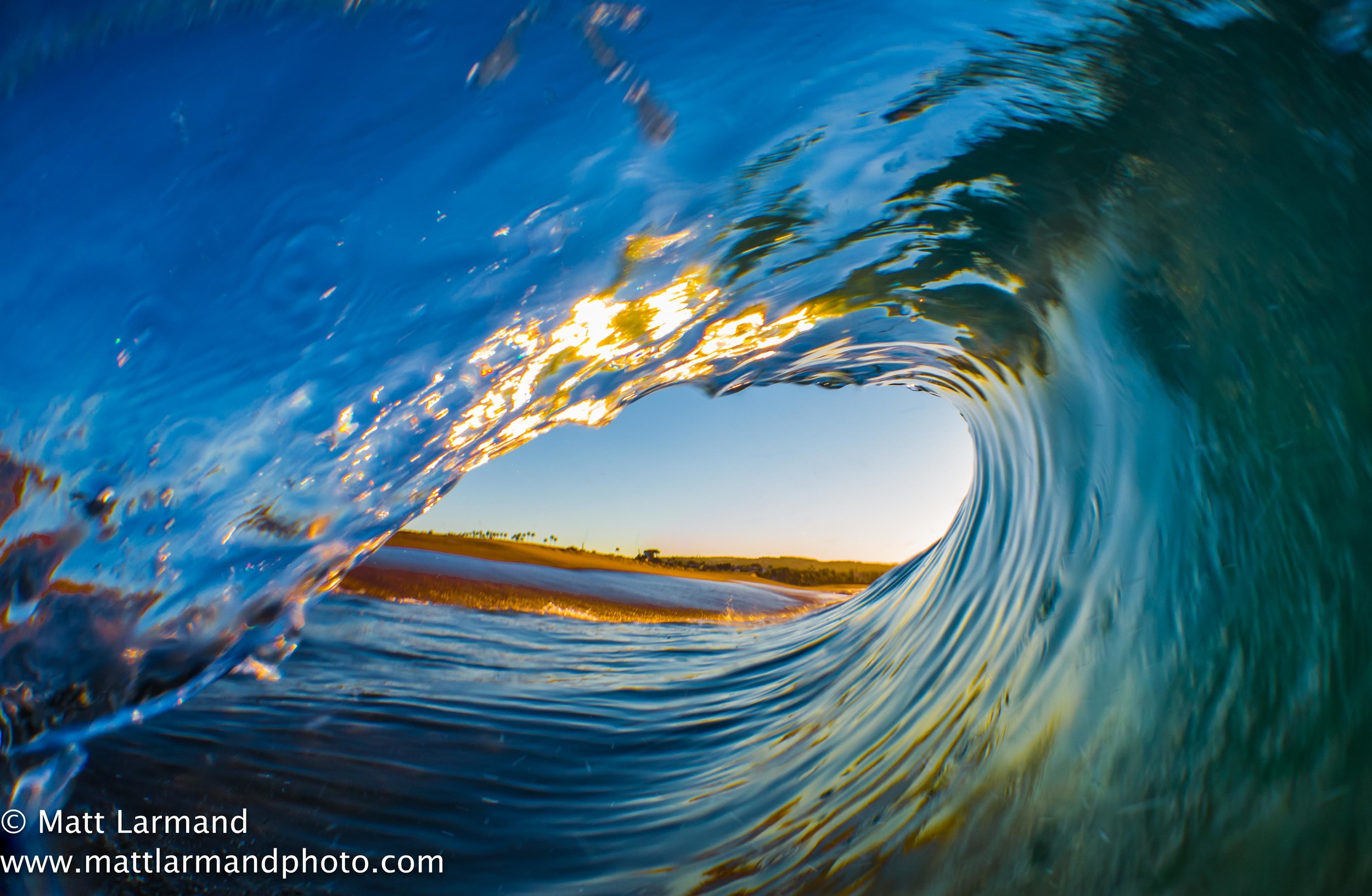 glassy curl