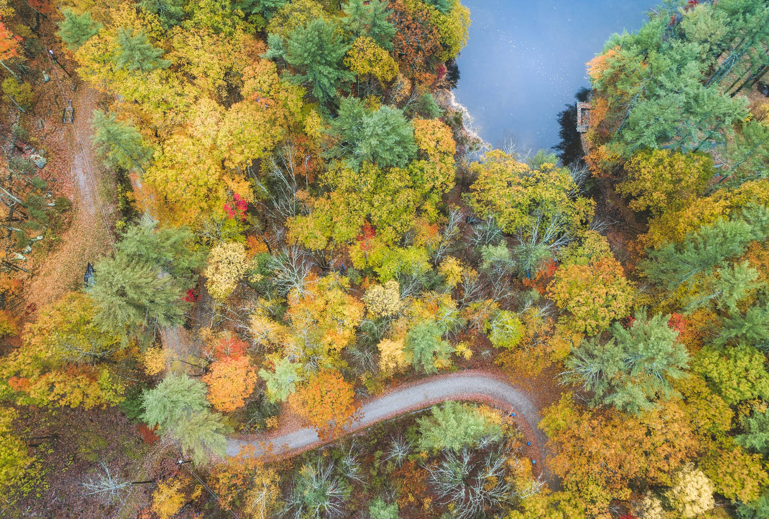 Fall in New Hampshire  2