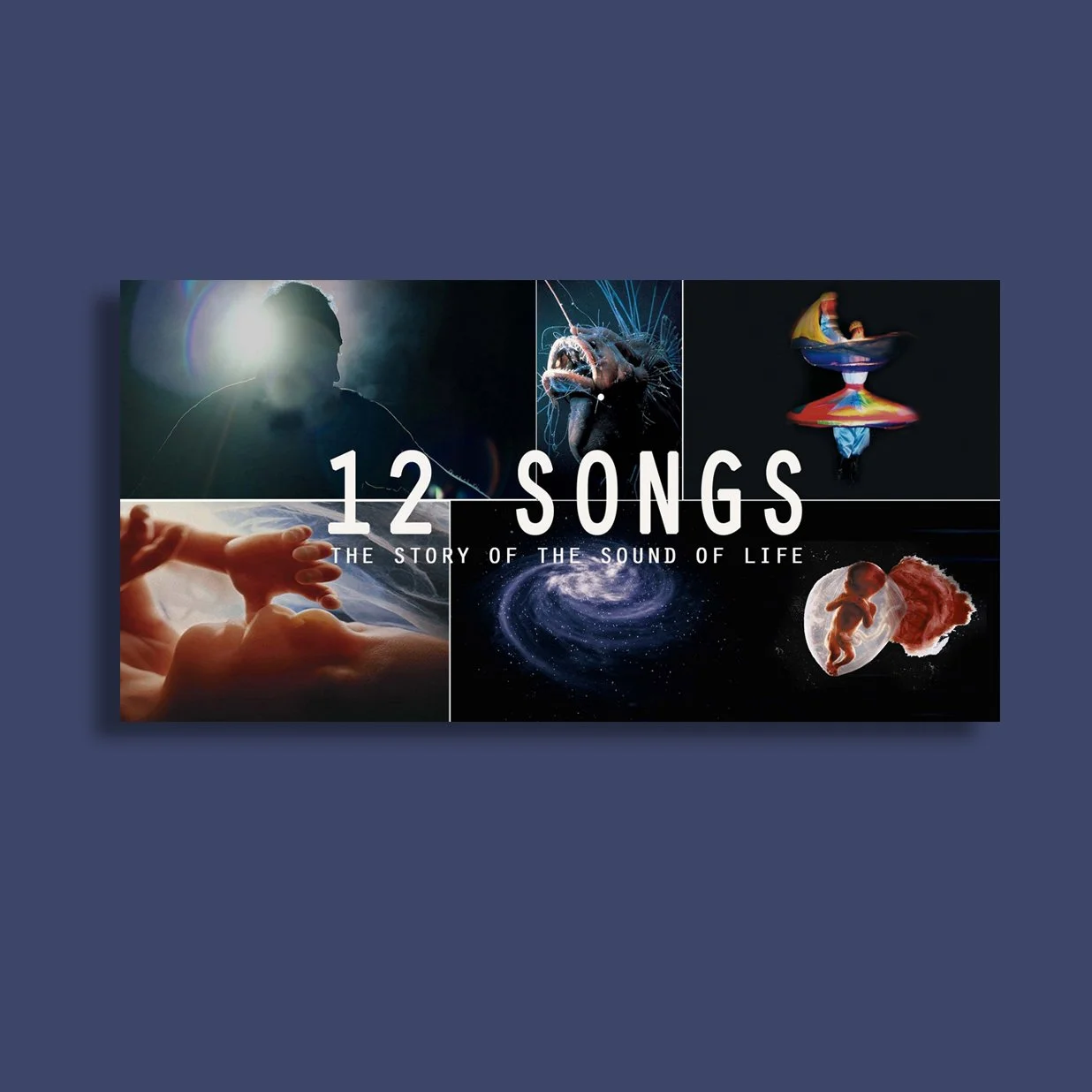 12Songs.jpg