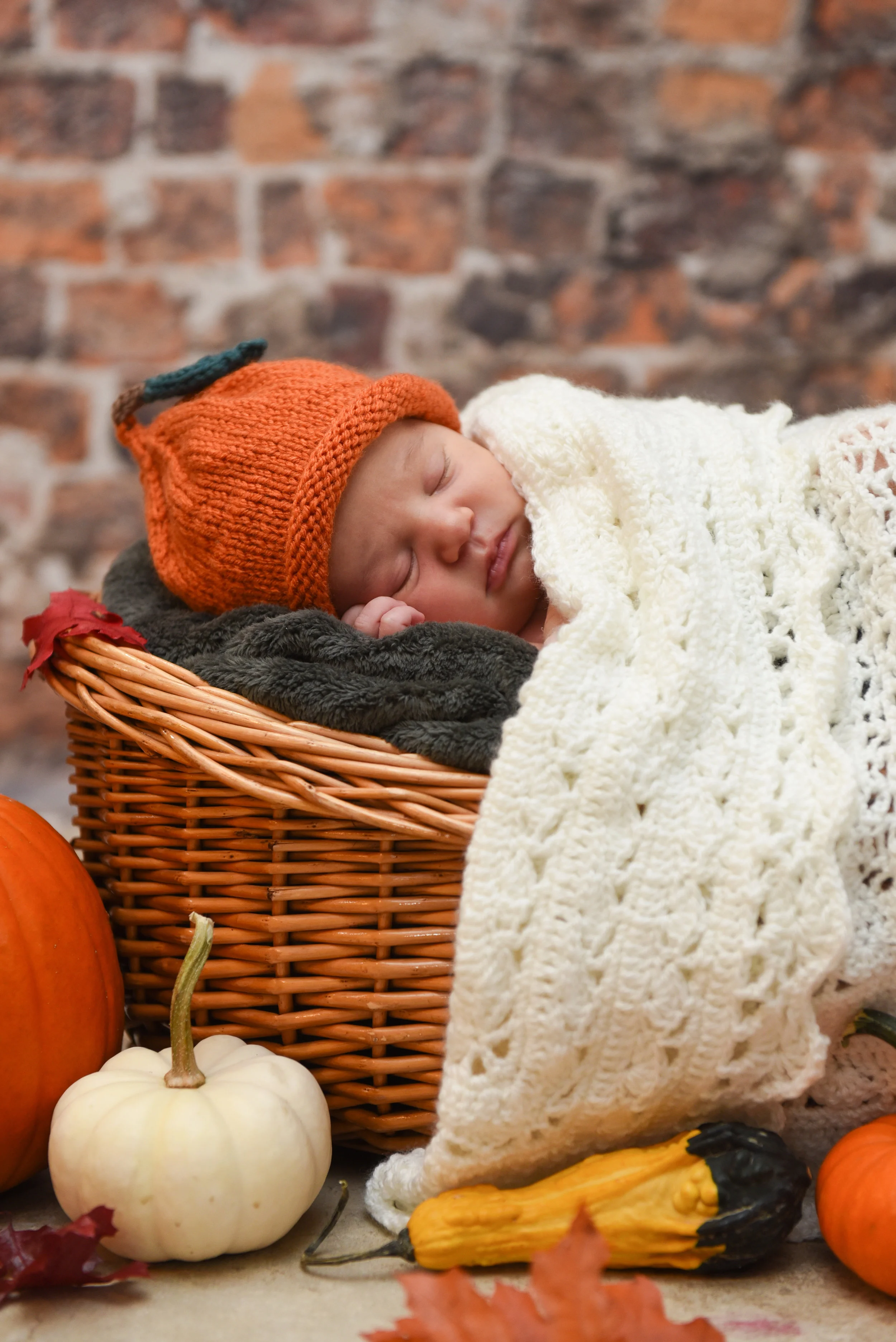 Cole_Newborn_Photos_102716_036.jpg