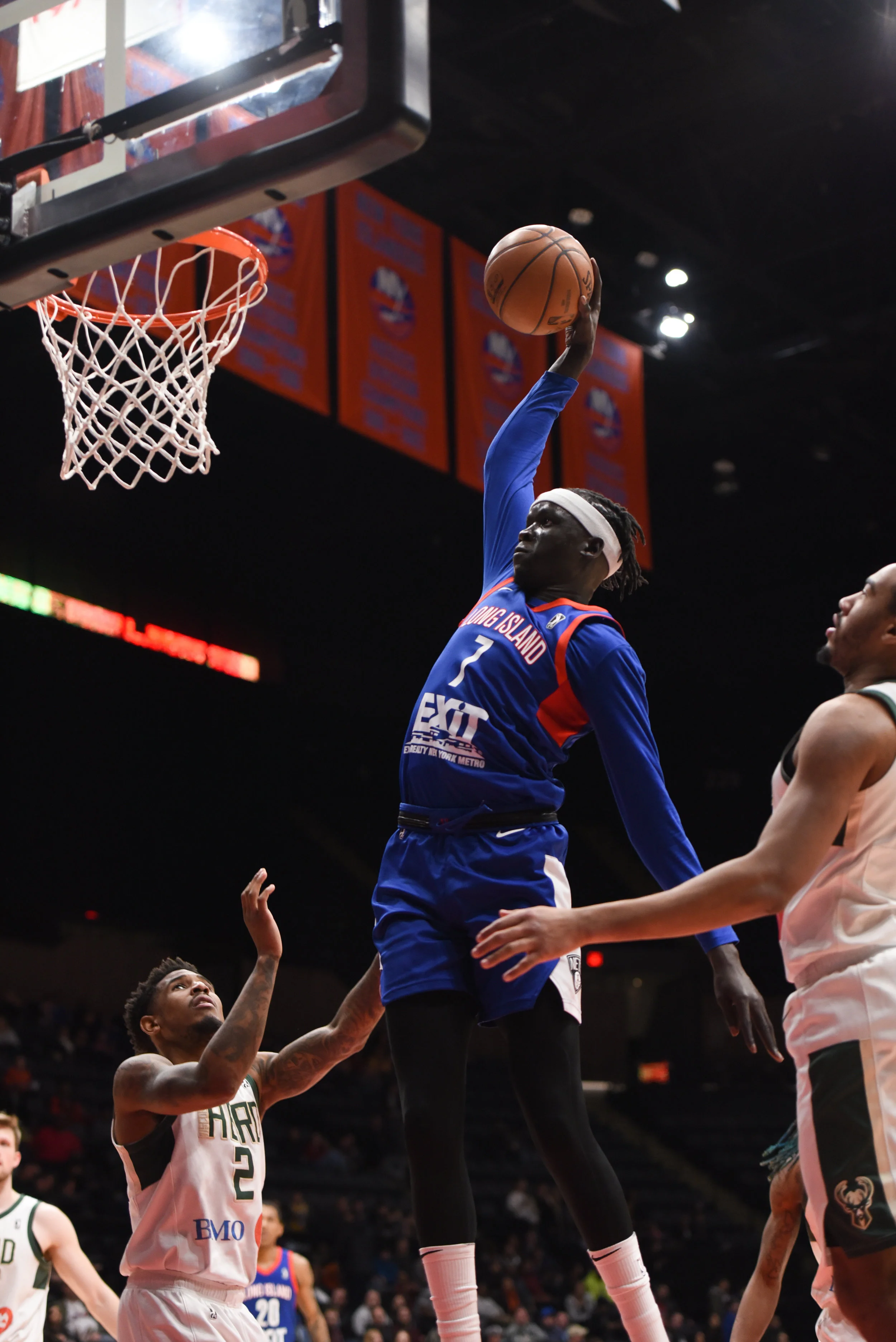 20190323_Wisconsin_Herd_v_Long_Island_Nets_540.jpg