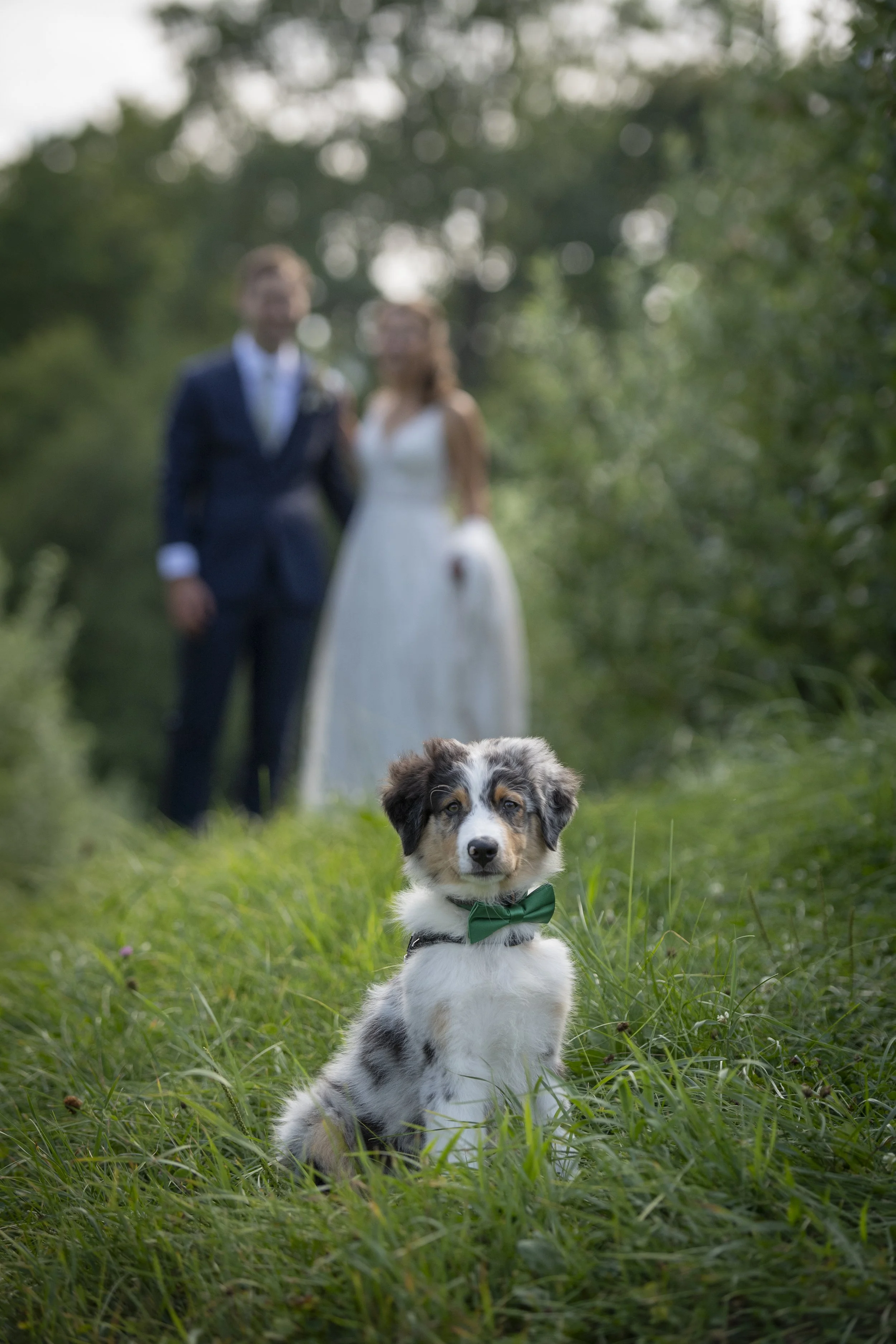 20250801_Marisa_Matthew_Wedding_JVN_6530.jpg