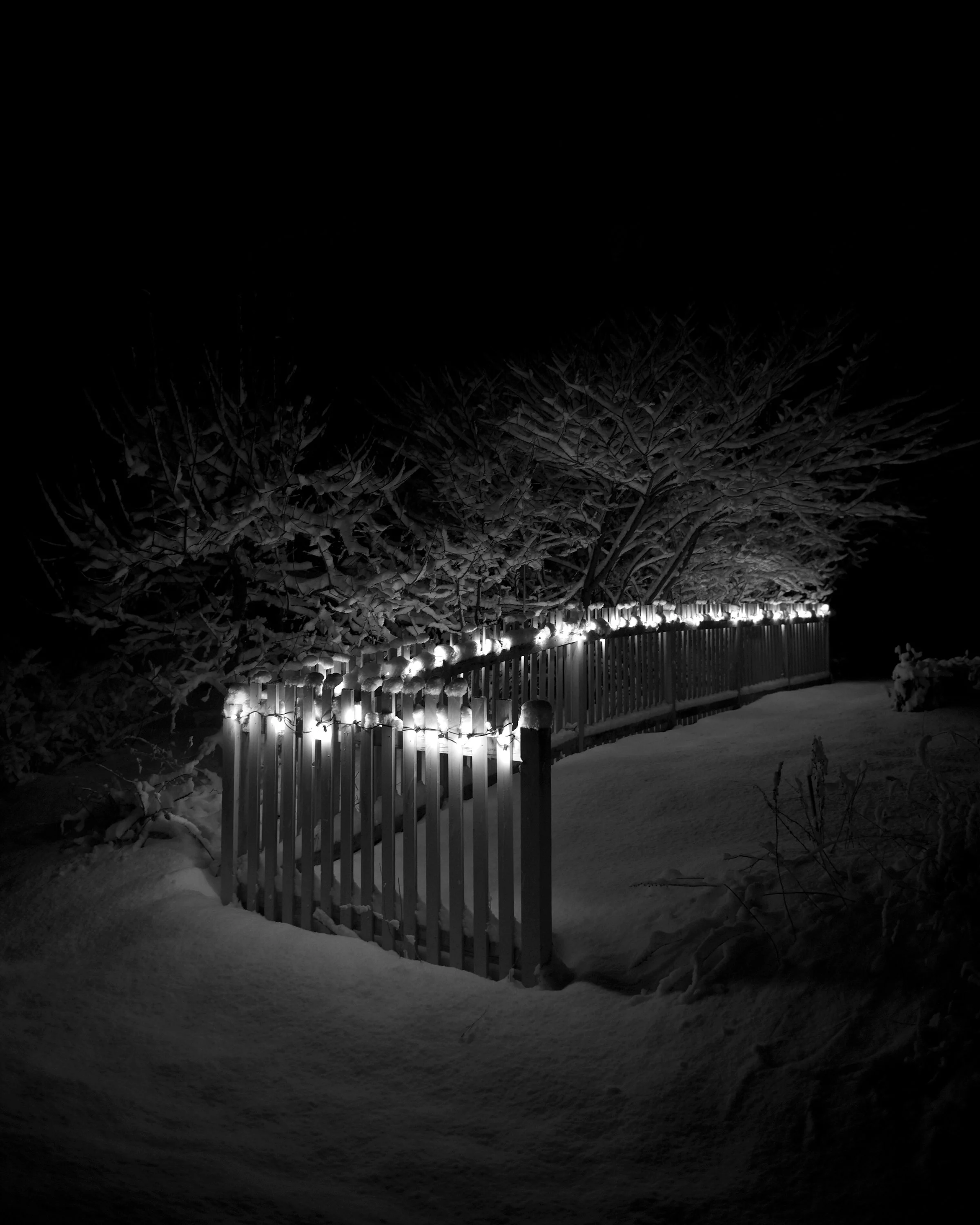 Snow_Lights_20161229_Christmas_Keene_028.JPG