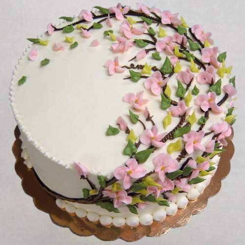 Magnolia