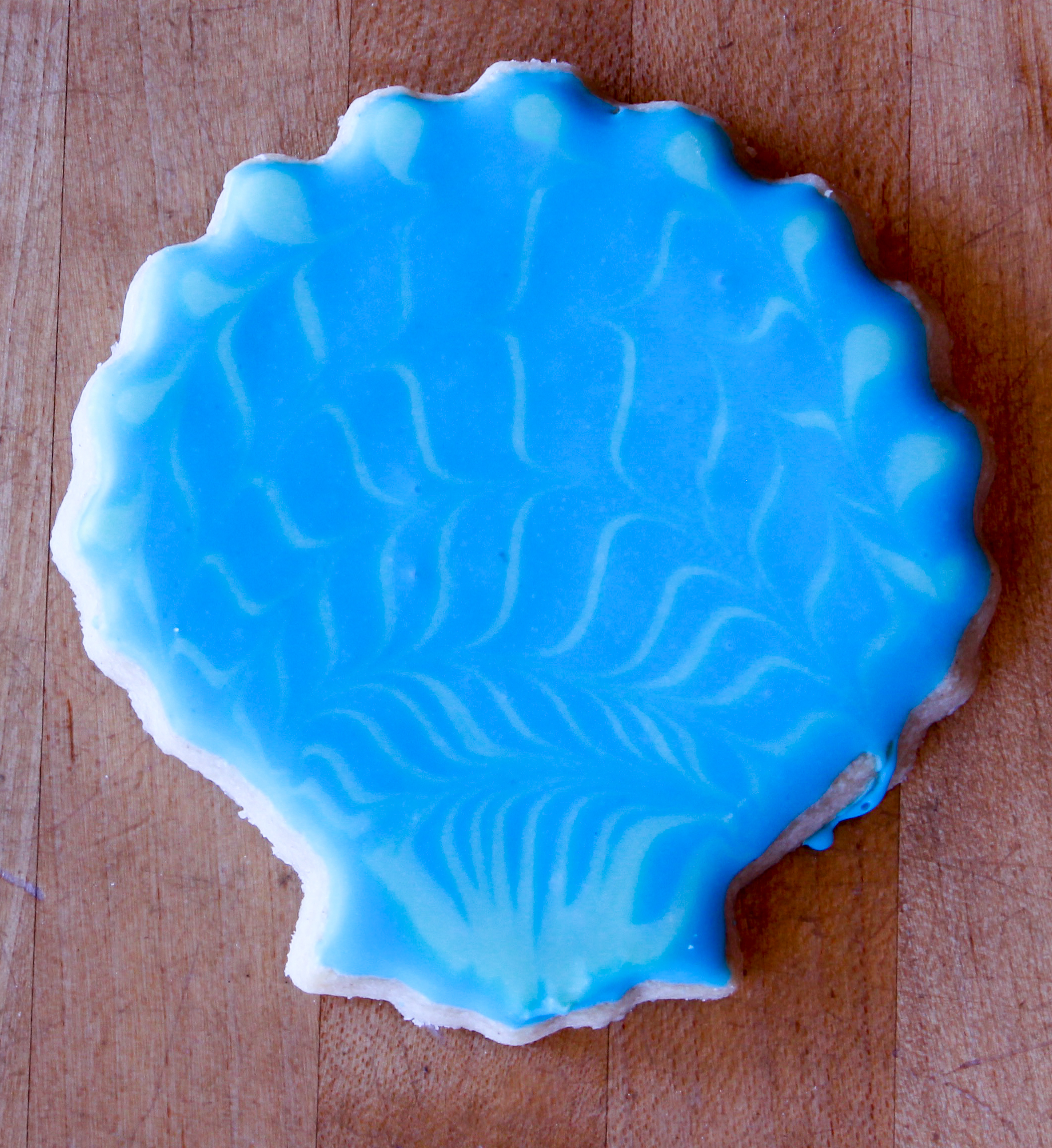 Scallop Shell with blue