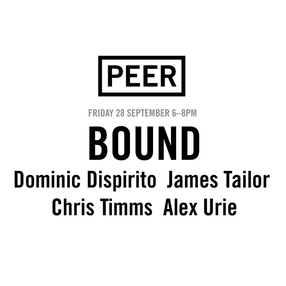 Last show at Peer Gallery: Bound