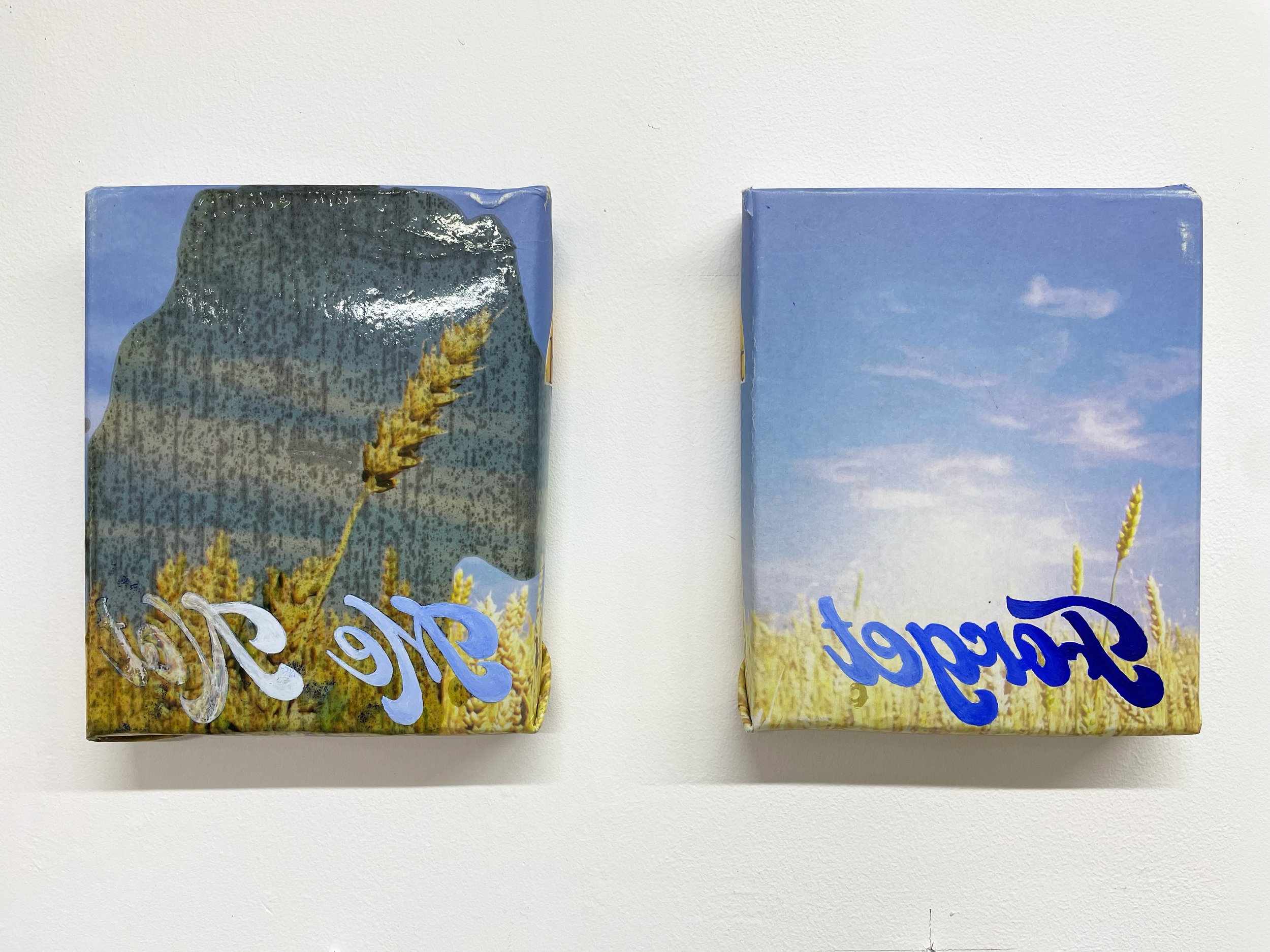 Forget me not 03.jpg