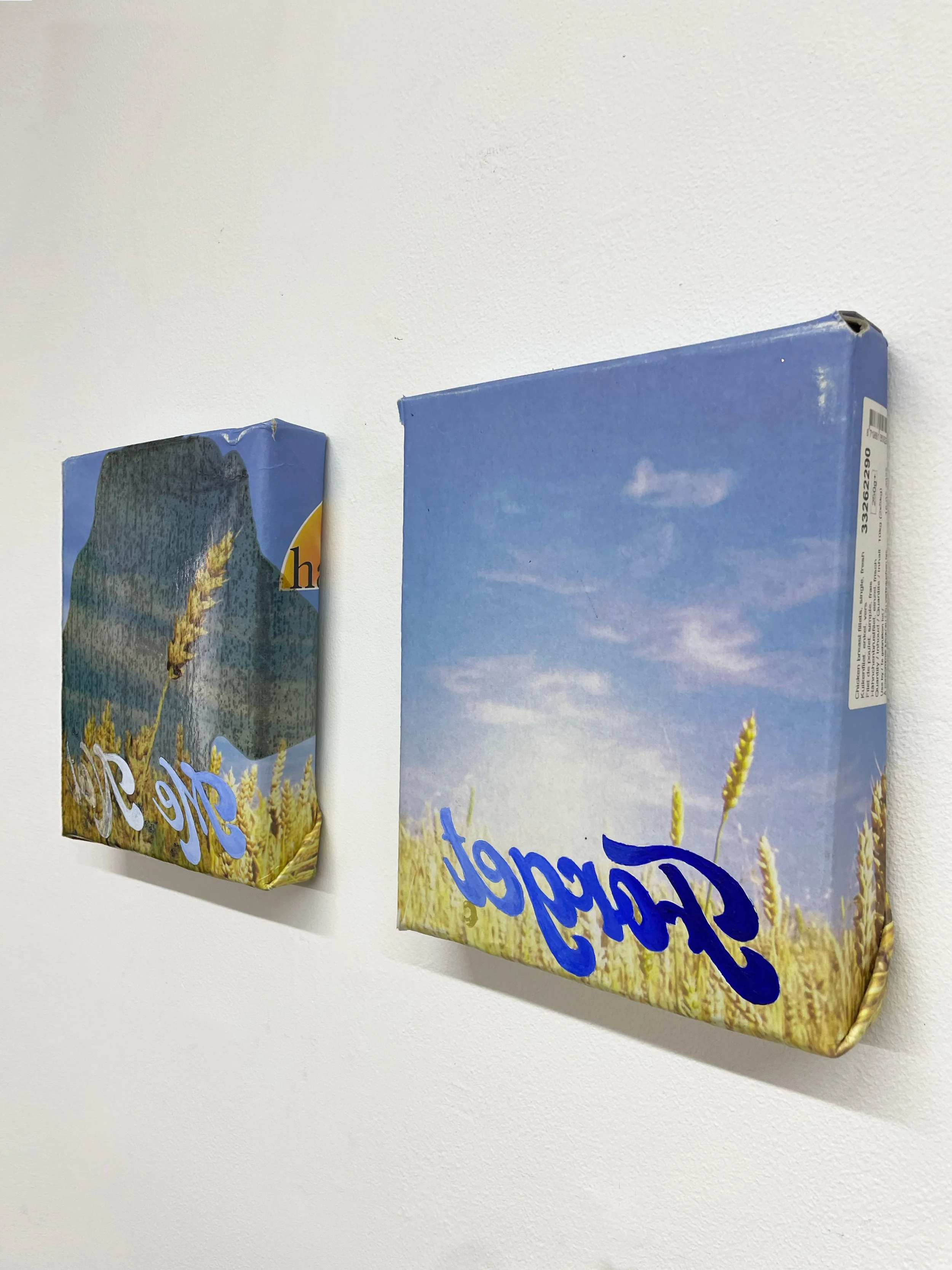 Forget me not 01.jpg