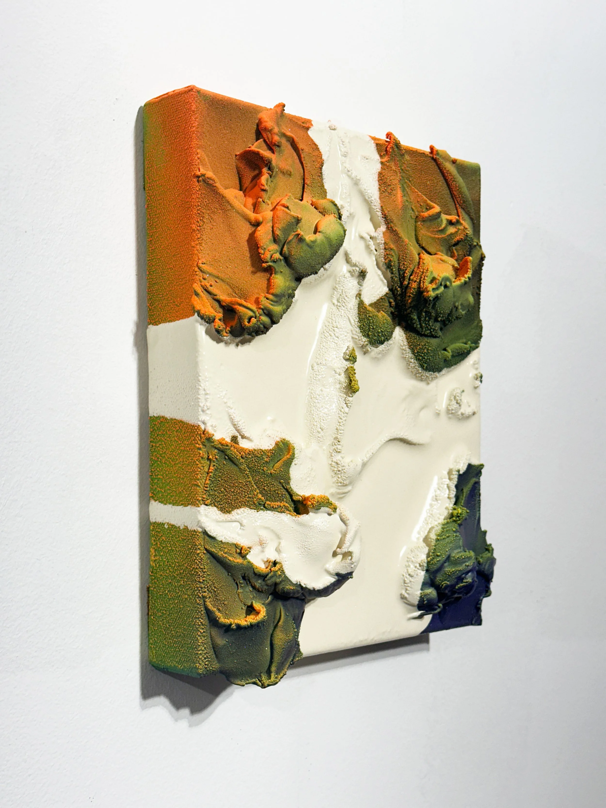 Multicoloured Coagulation with Creme03.jpg