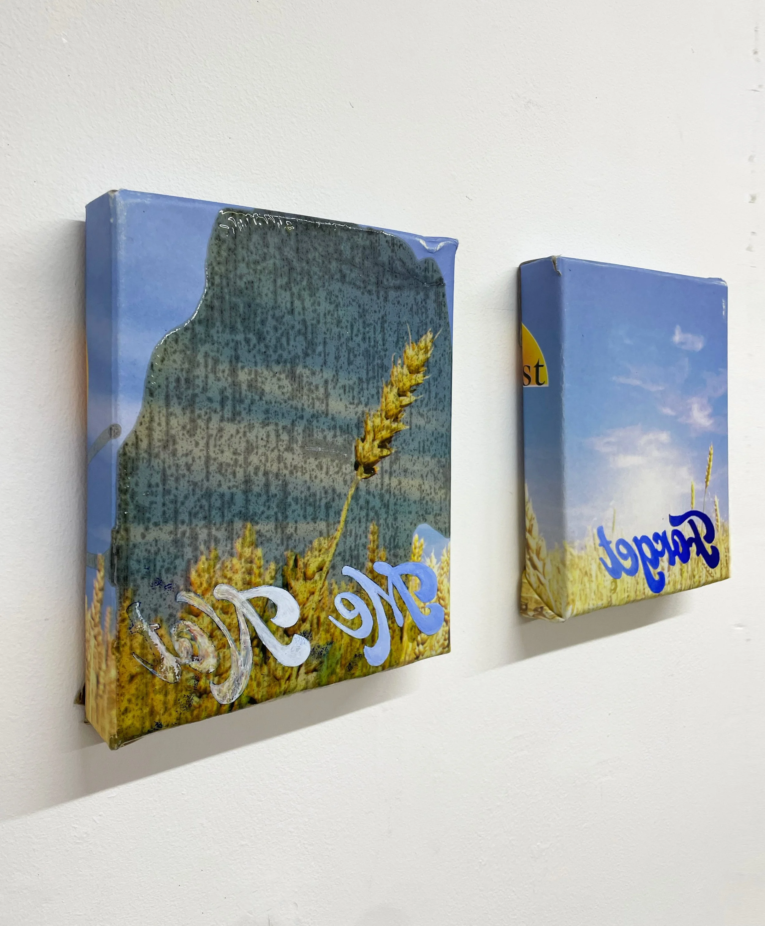 Forget me not 02.jpg