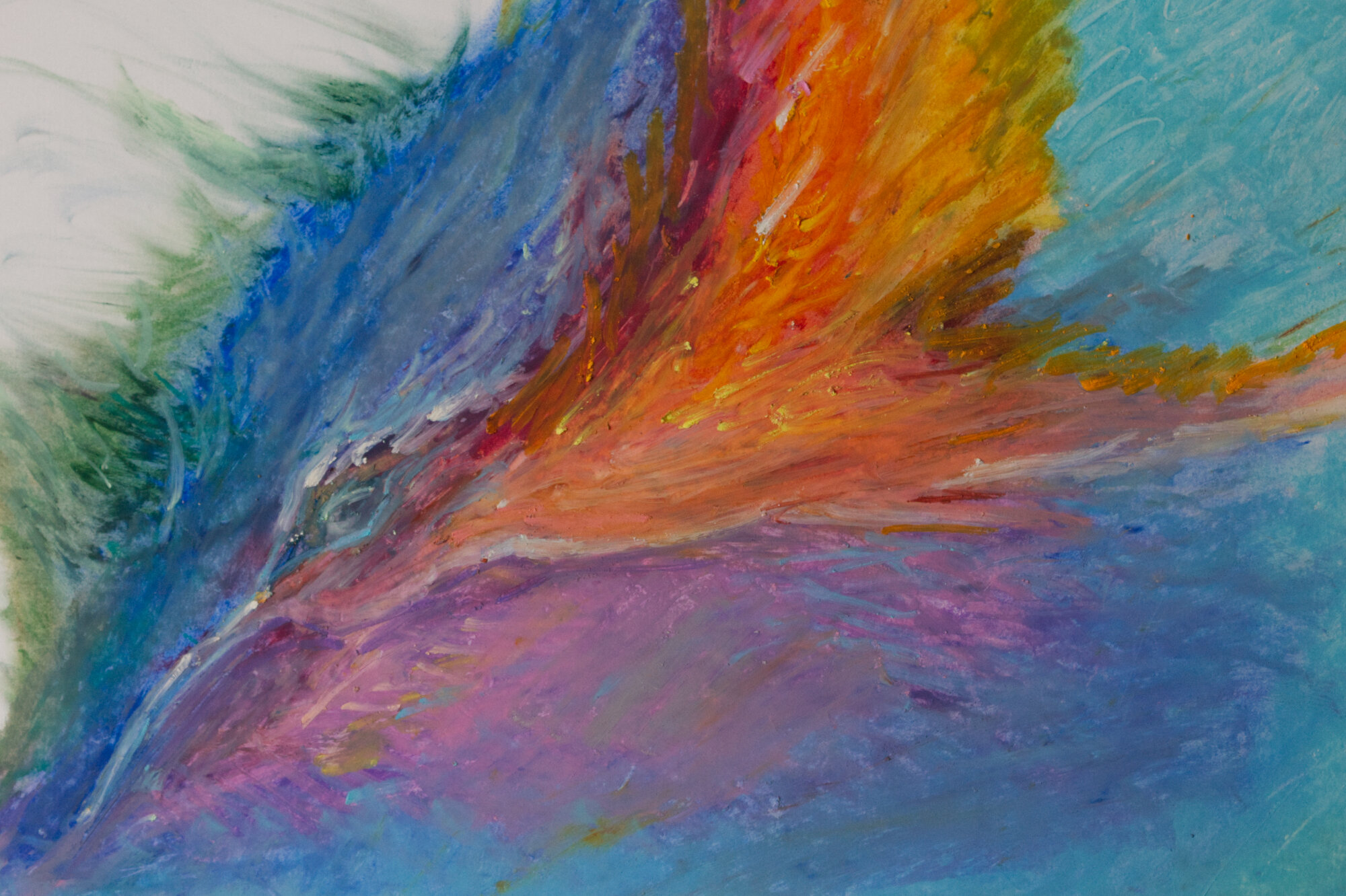 Bird of Paradise.jpg